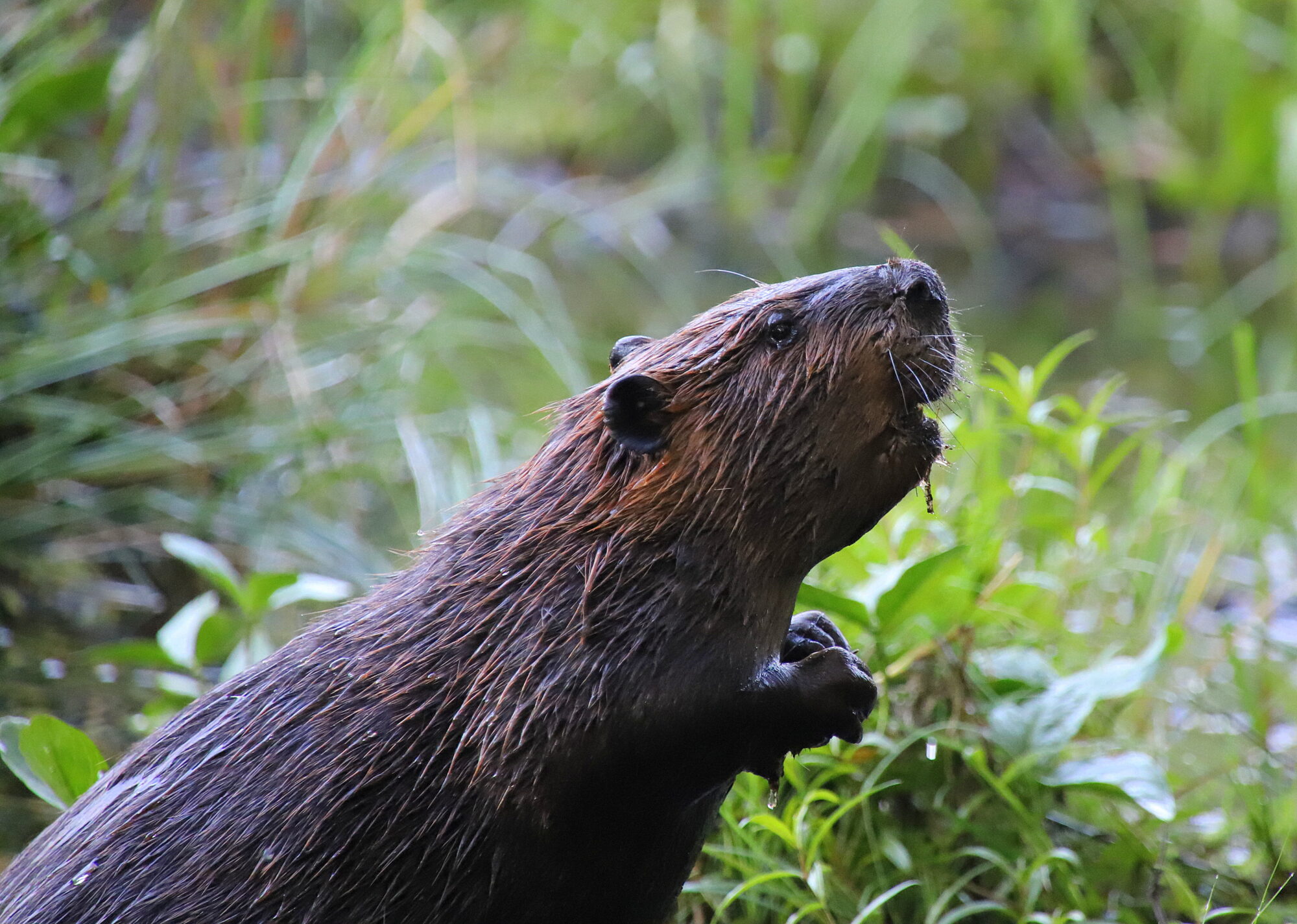 Valokuvaaja: sirpa jyske
