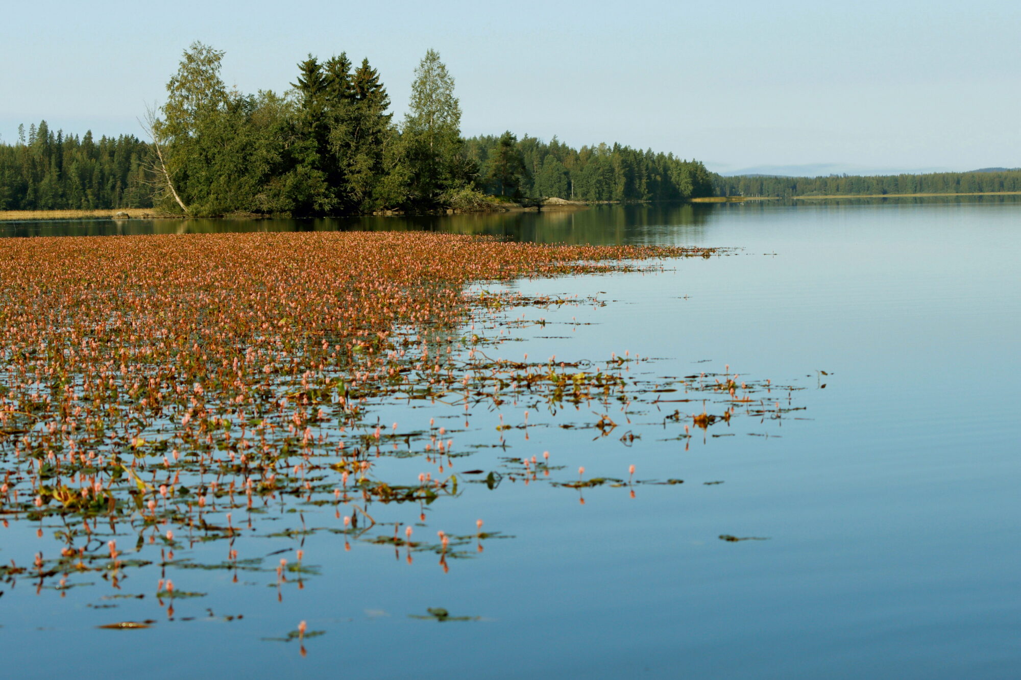 Valokuvaaja: Ritva Nieminen