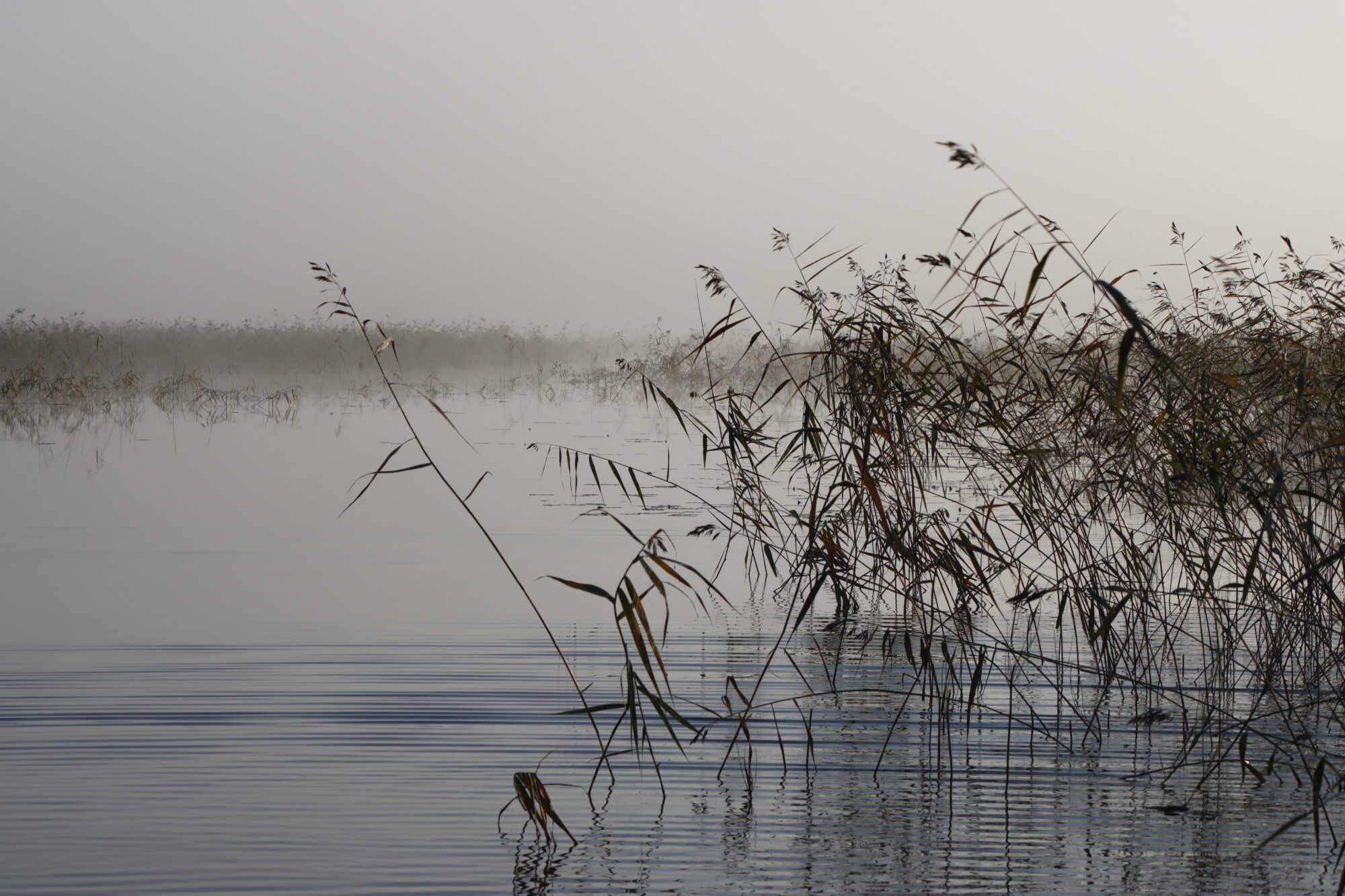 Valokuvaaja: Ritva Nieminen