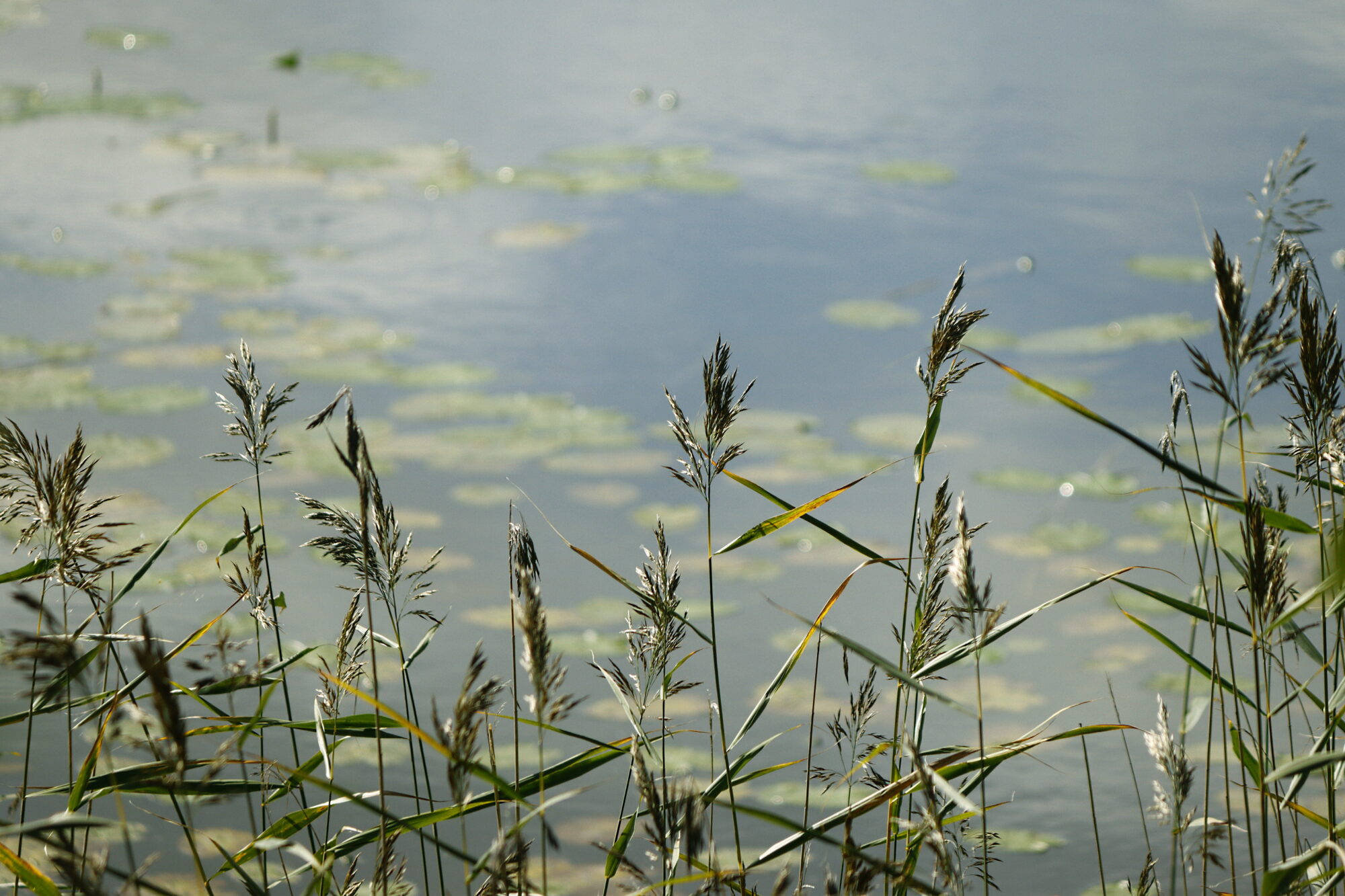 Valokuvaaja: Ritva Nieminen