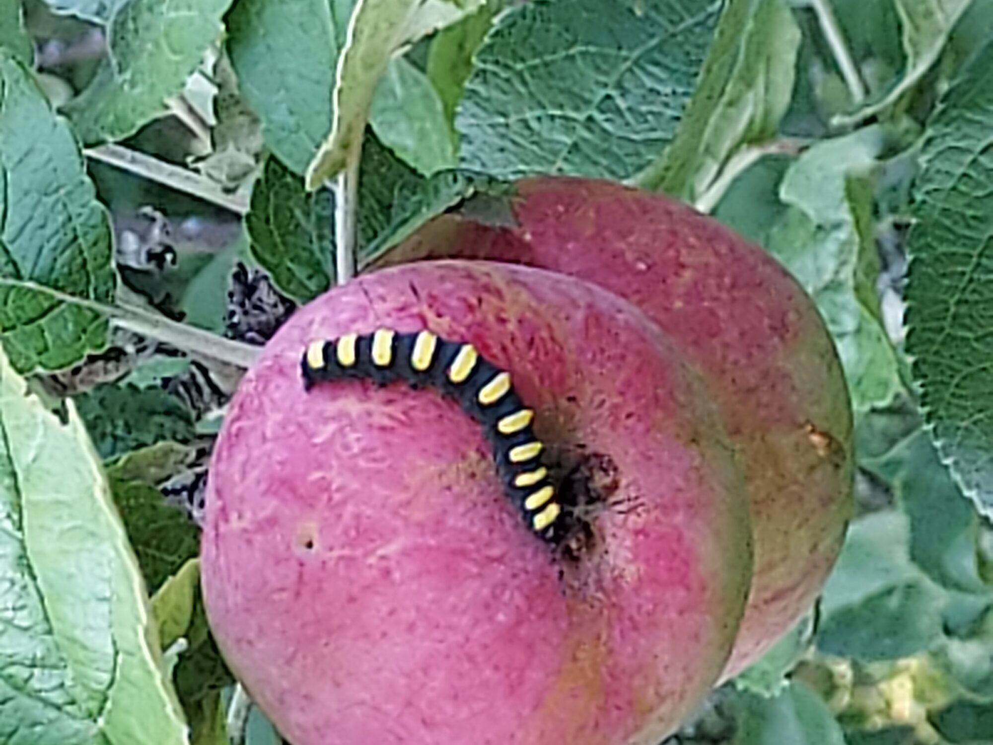 Valokuvaaja: Mikko-Pekka Haasanen