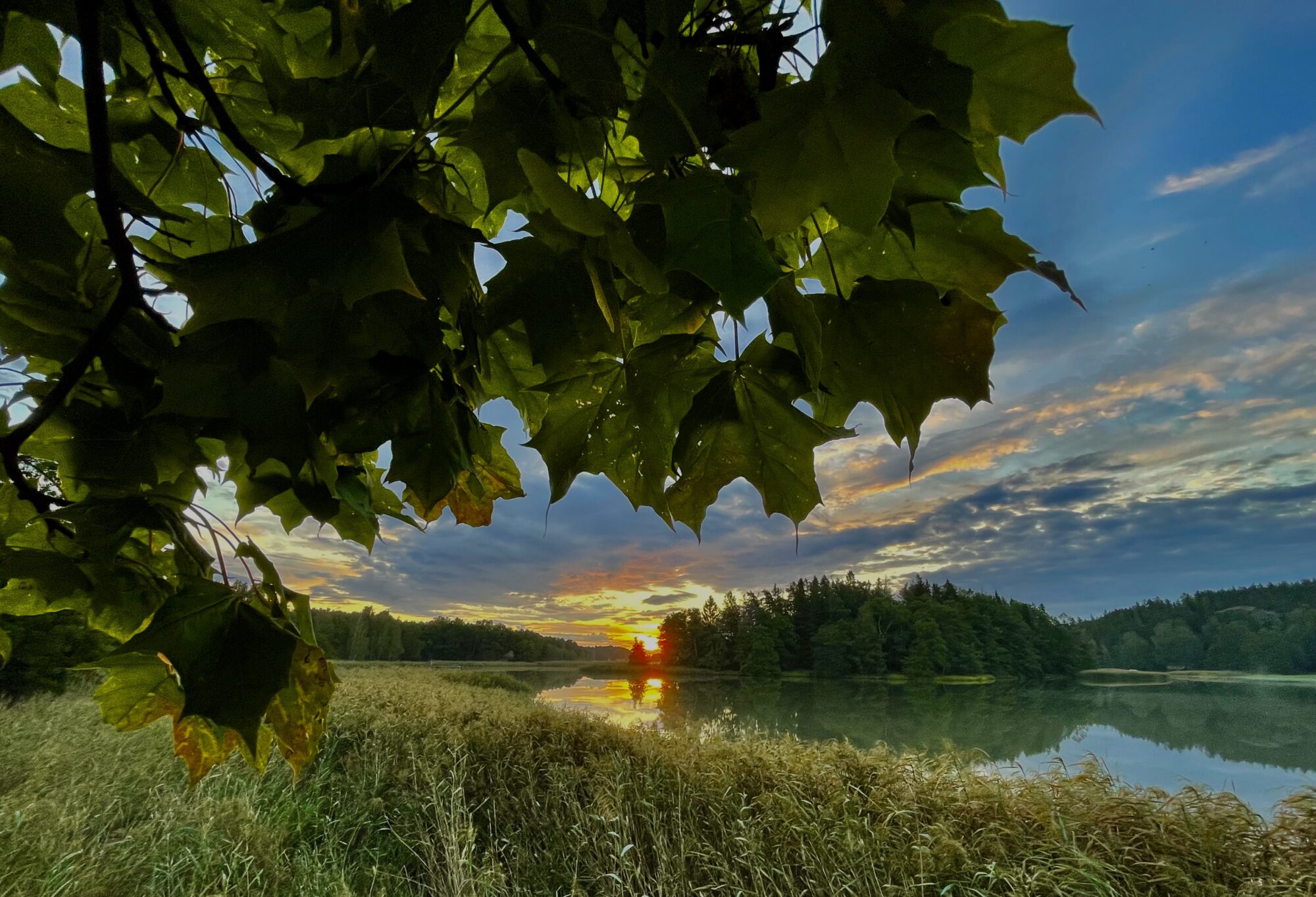 Valokuvaaja: Juhani Peltonen