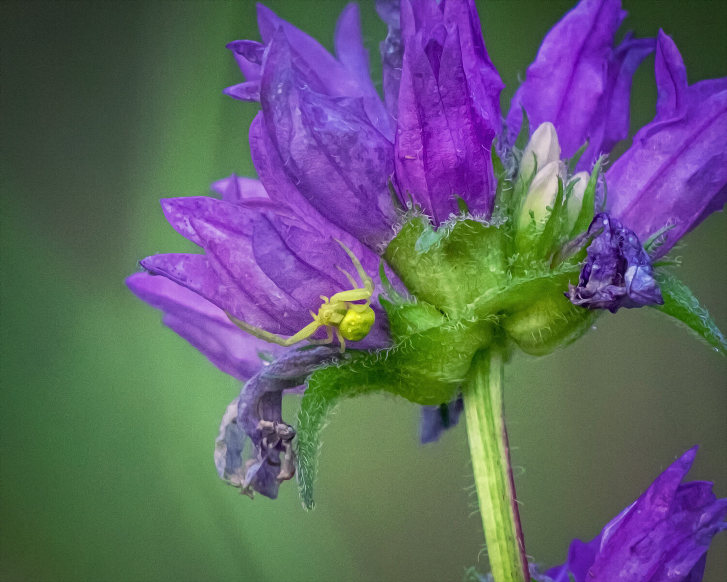 Valokuvaaja: Kimmo Sääskilahti