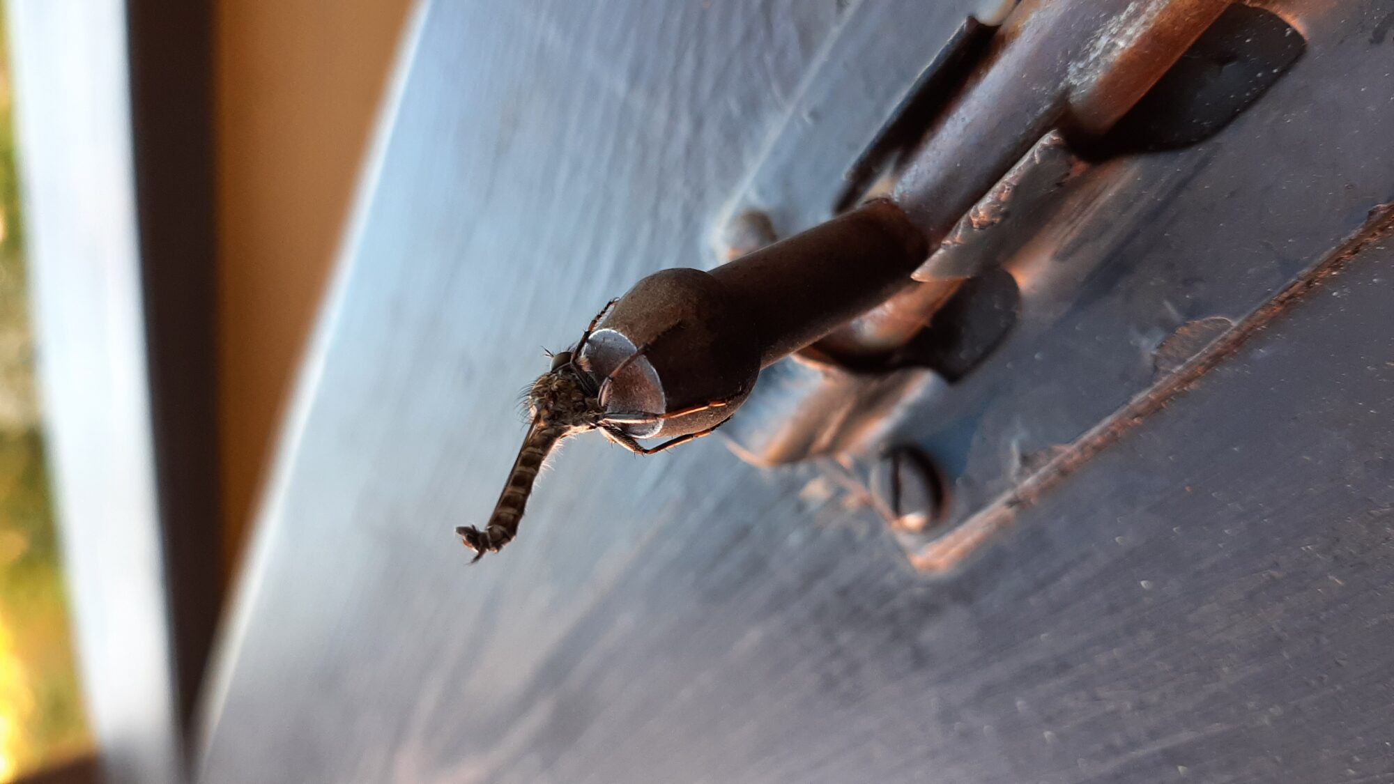 Valokuvaaja: Helmi Mäkinen