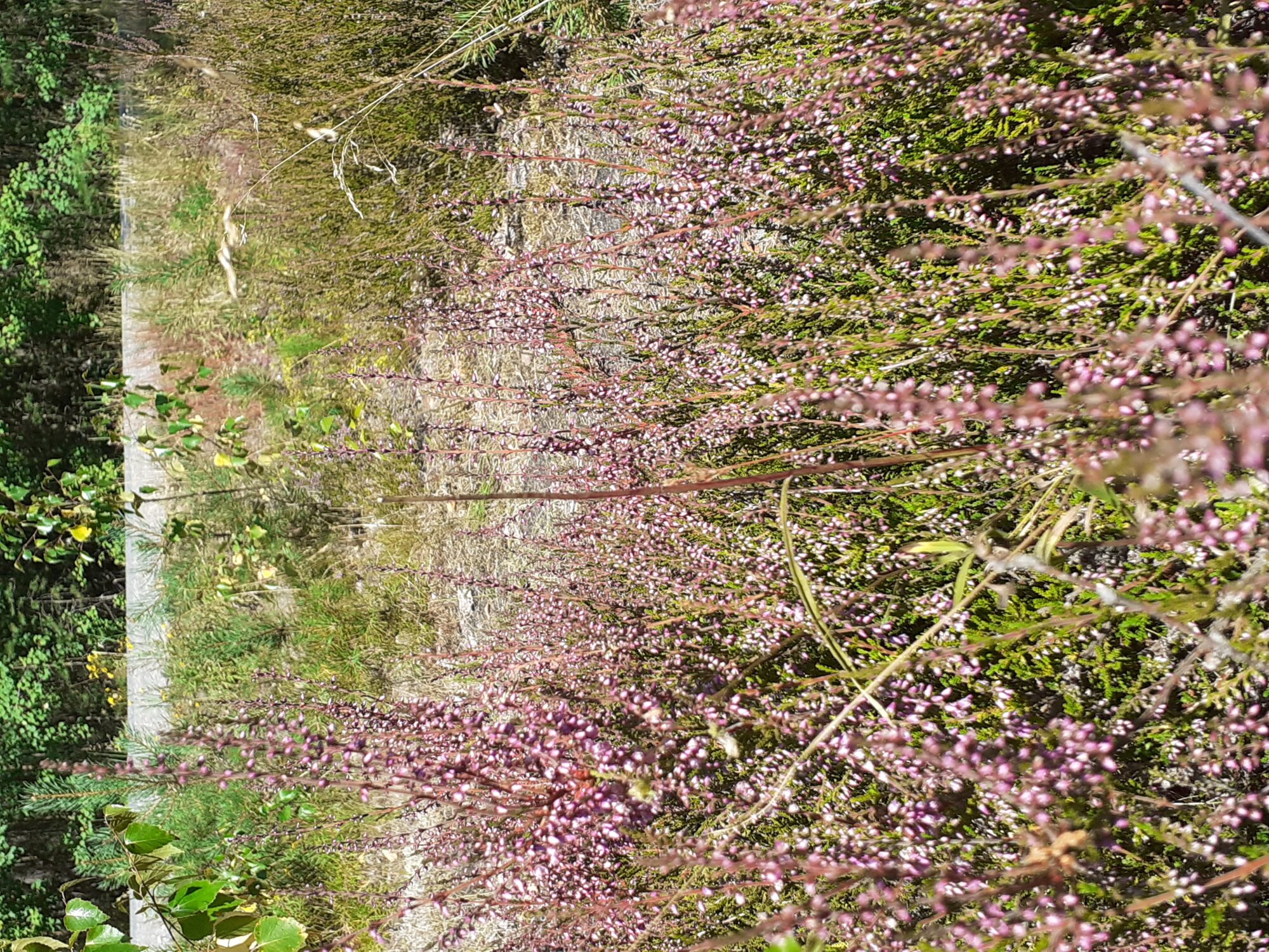 Valokuvaaja: Maarit Pietiläinen