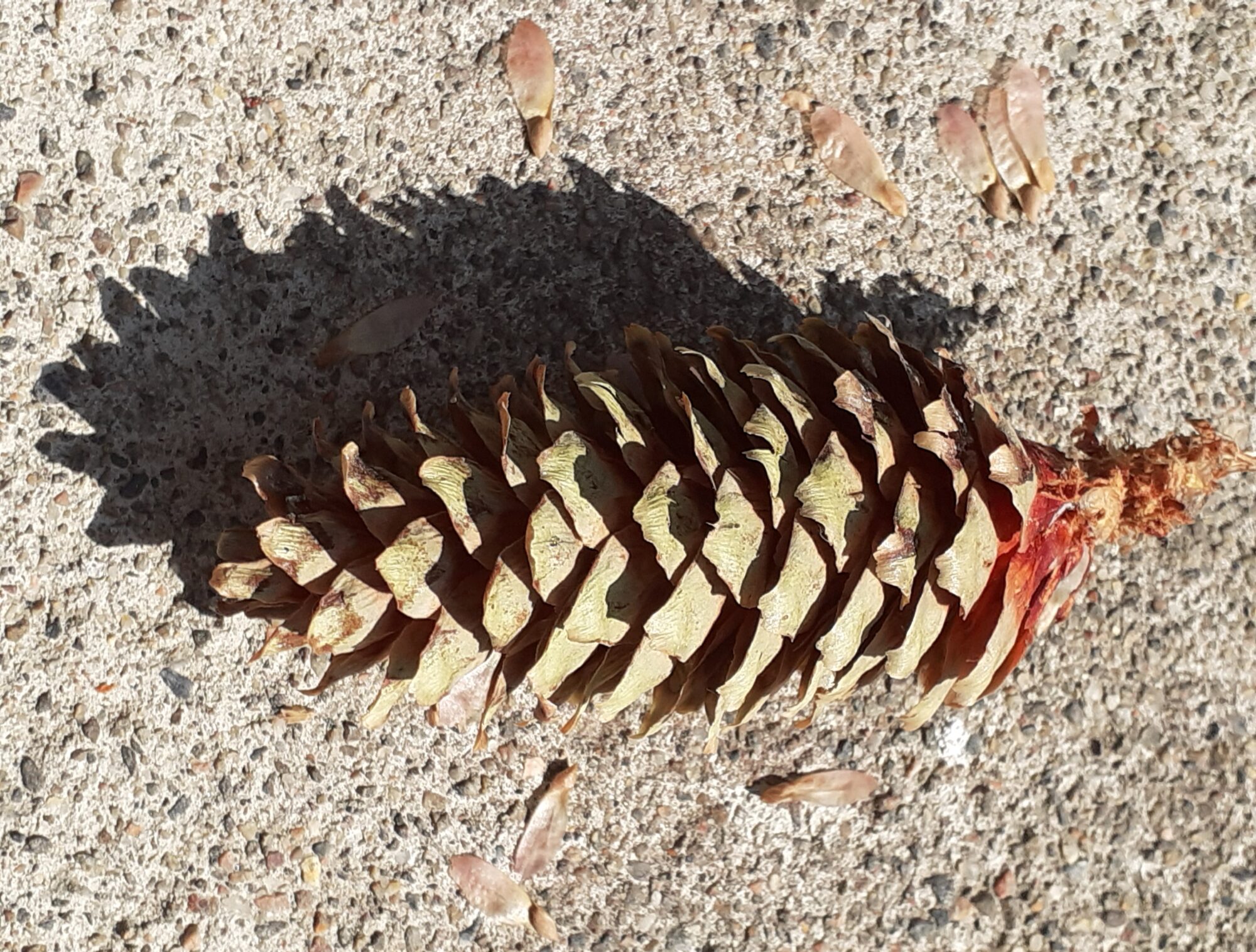 Valokuvaaja: Maarit Pietiläinen