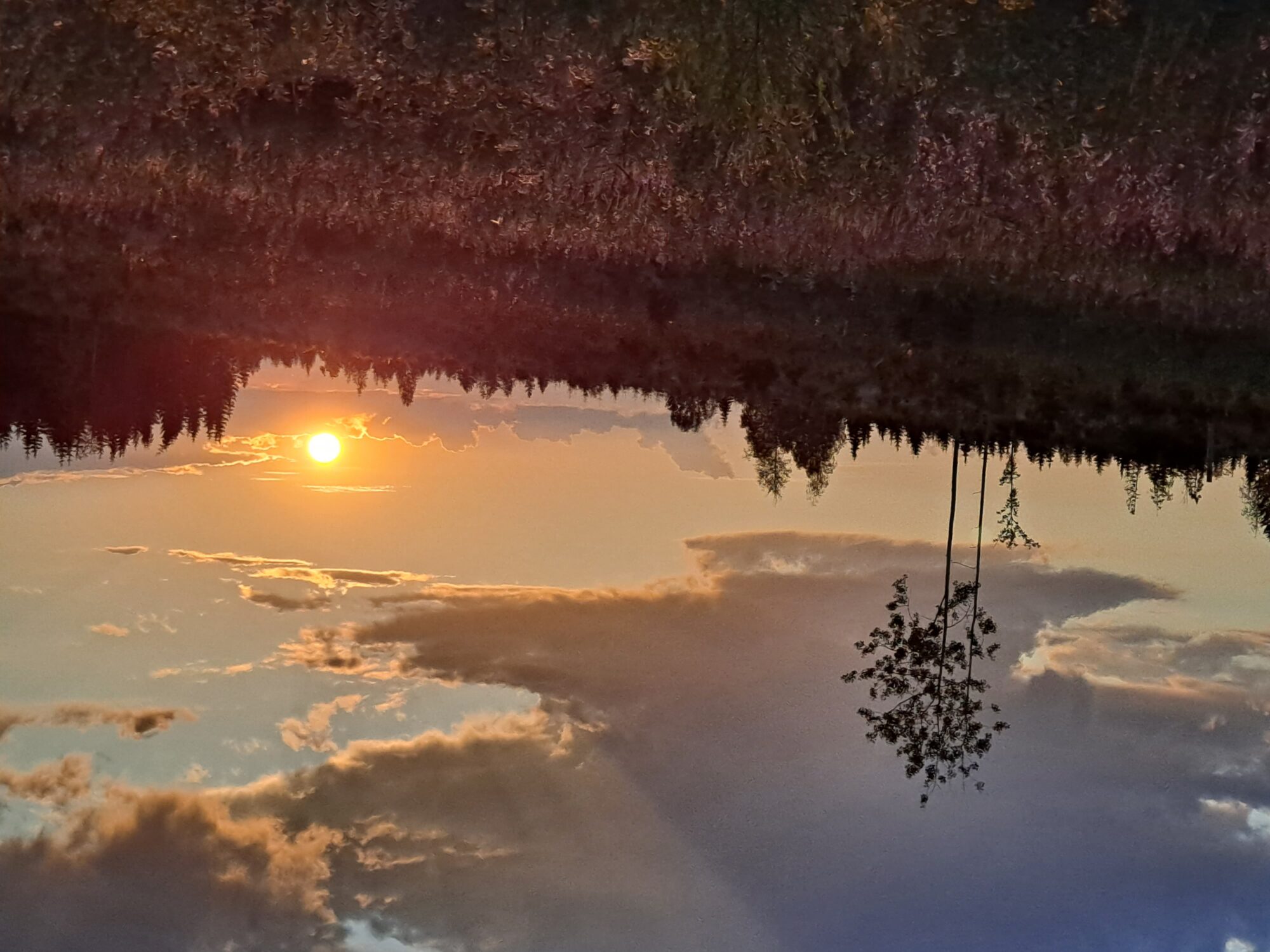 Valokuvaaja: Hannu Rissanen