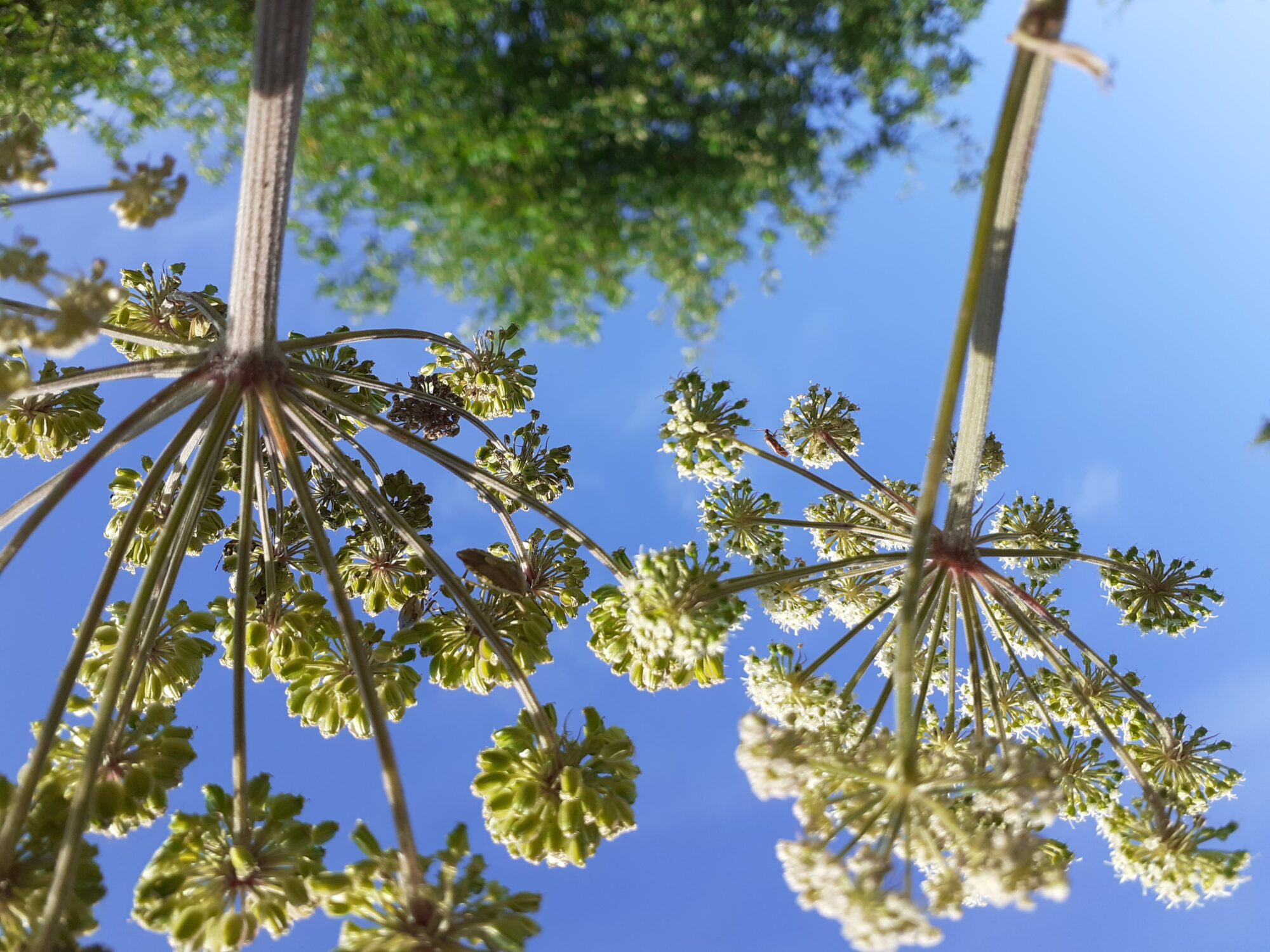 Valokuvaaja: Maarit Pietiläinen