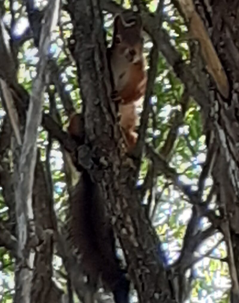 Valokuvaaja: Maarit Pietiläinen.