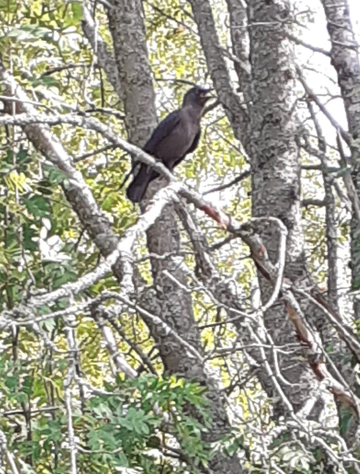 Valokuvaaja: Maarit Pietiläinen