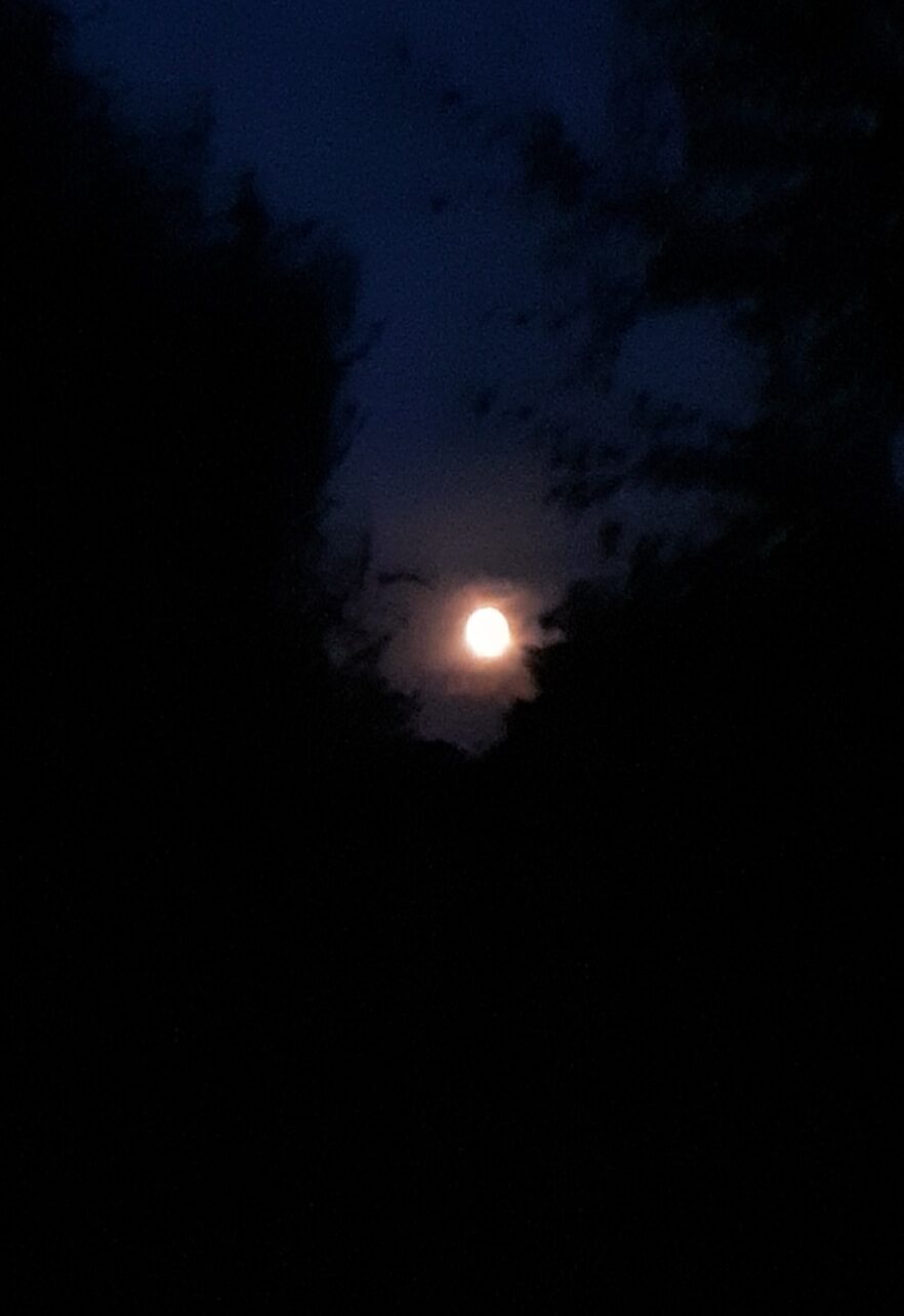 Valokuvaaja: Maarit Pietiläinen