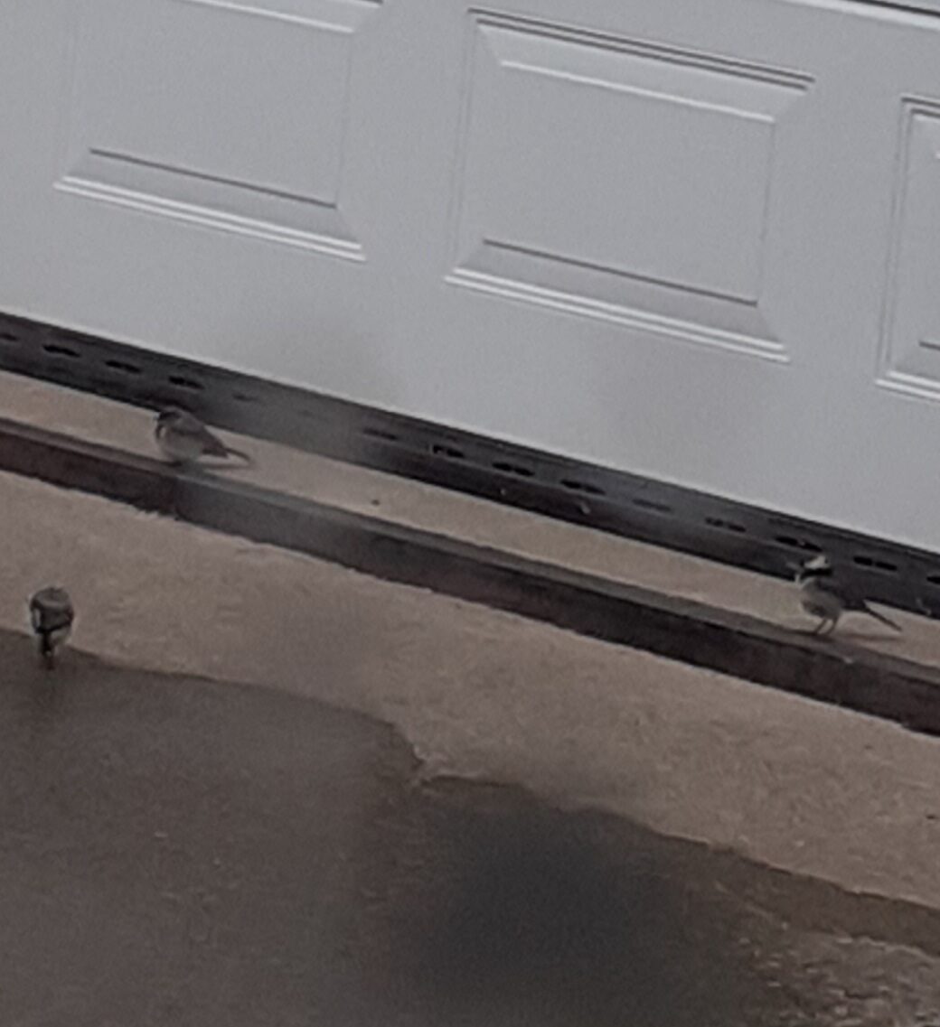 Valokuvaaja: Maarit Pietiläinen