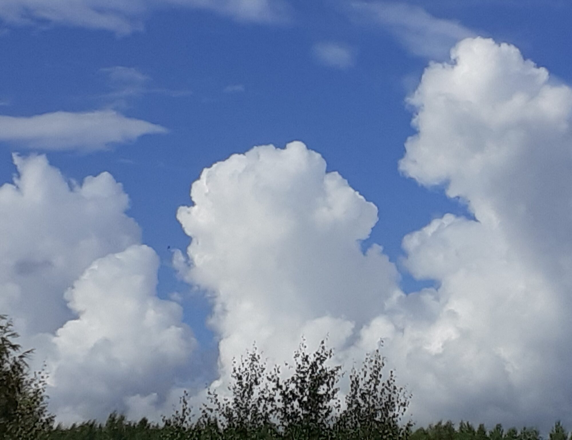 Valokuvaaja: Maarit Pietiläinen