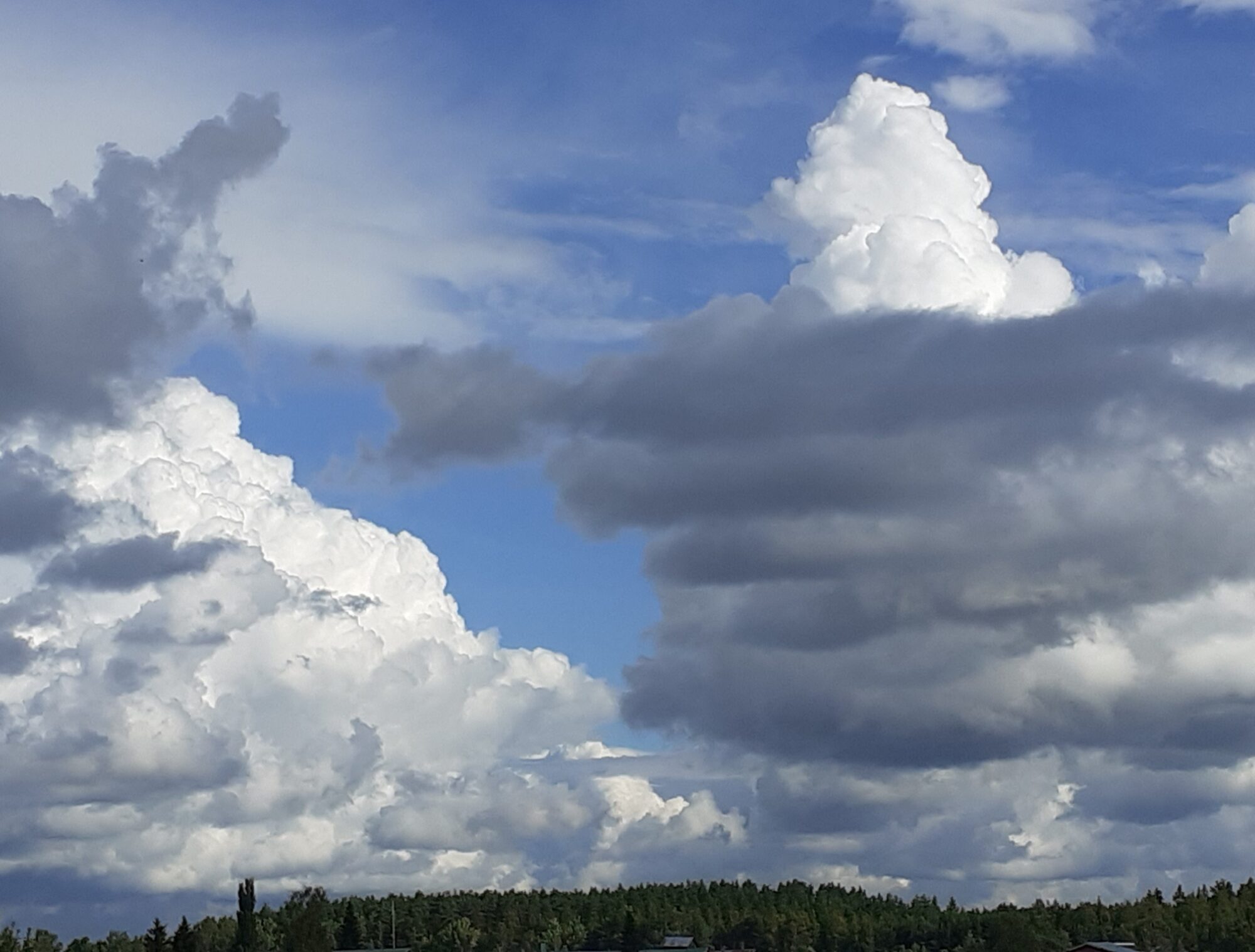 Valokuvaaja: Maarit Pietiläinen Valokuvaaja: Maarit Pietiläinen