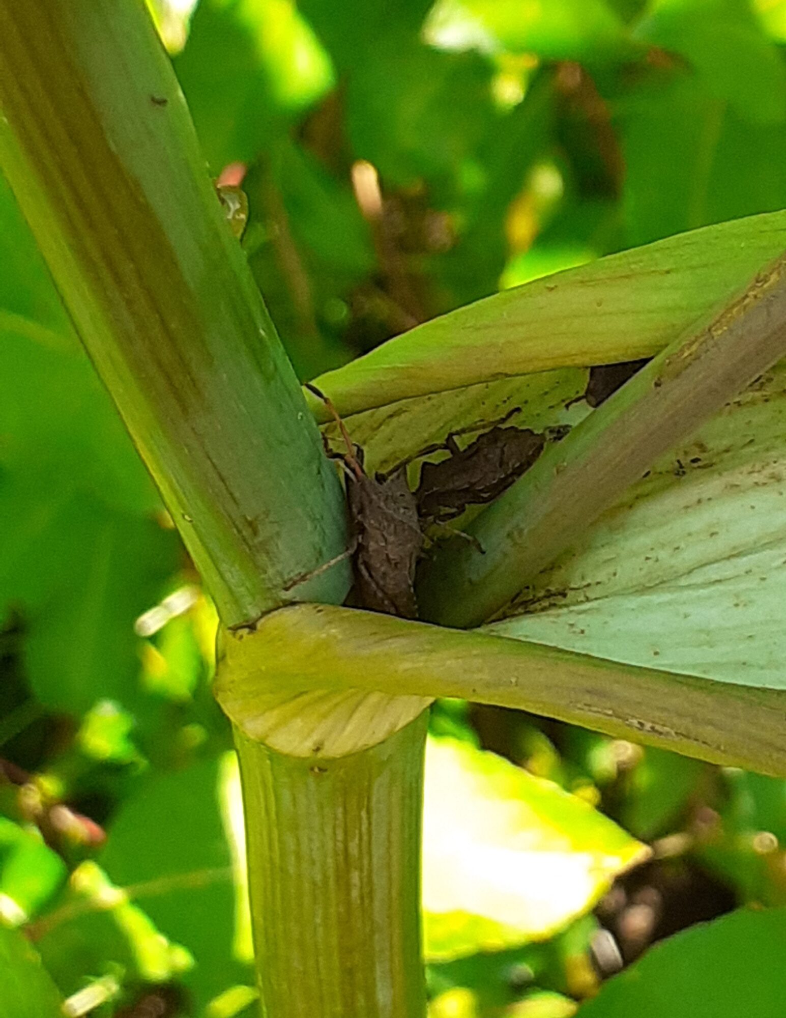 Valokuvaaja: Maarit Pietiläinen