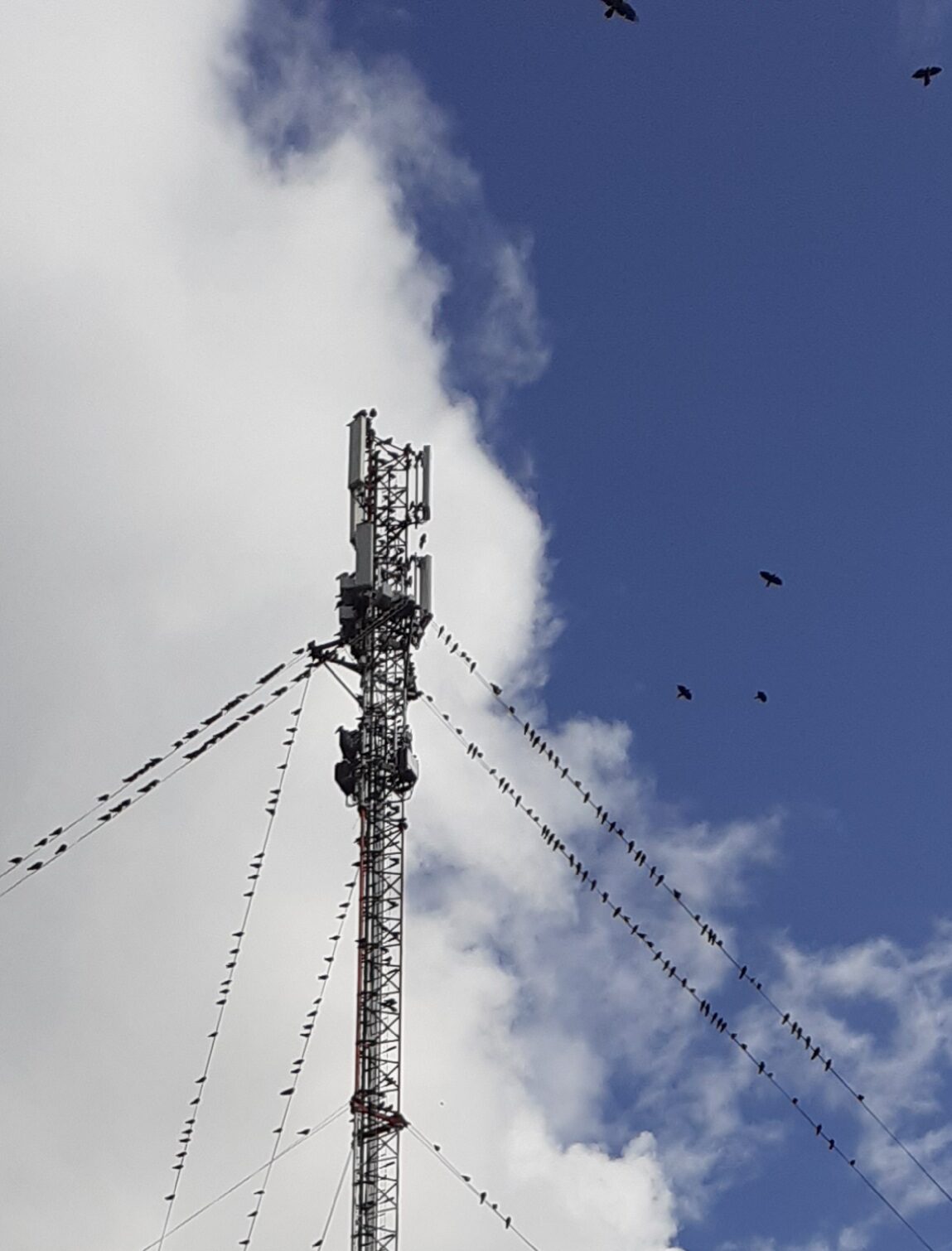 Valokuvaaja: Maarit Pietiläinen