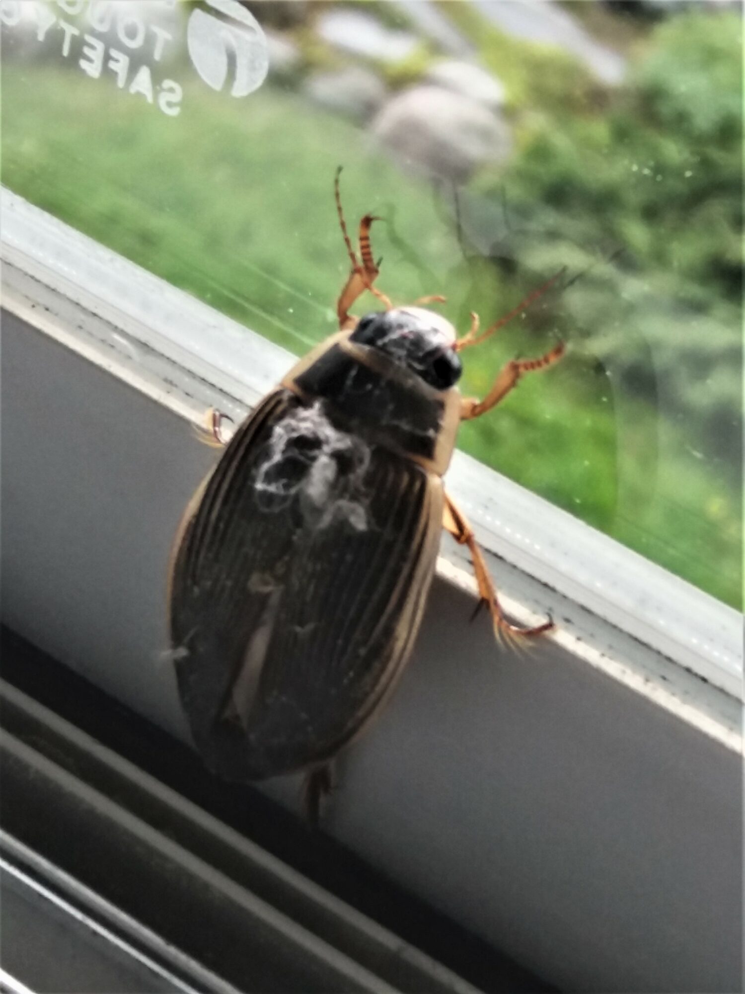 Valokuvaaja: Ann Seppänen