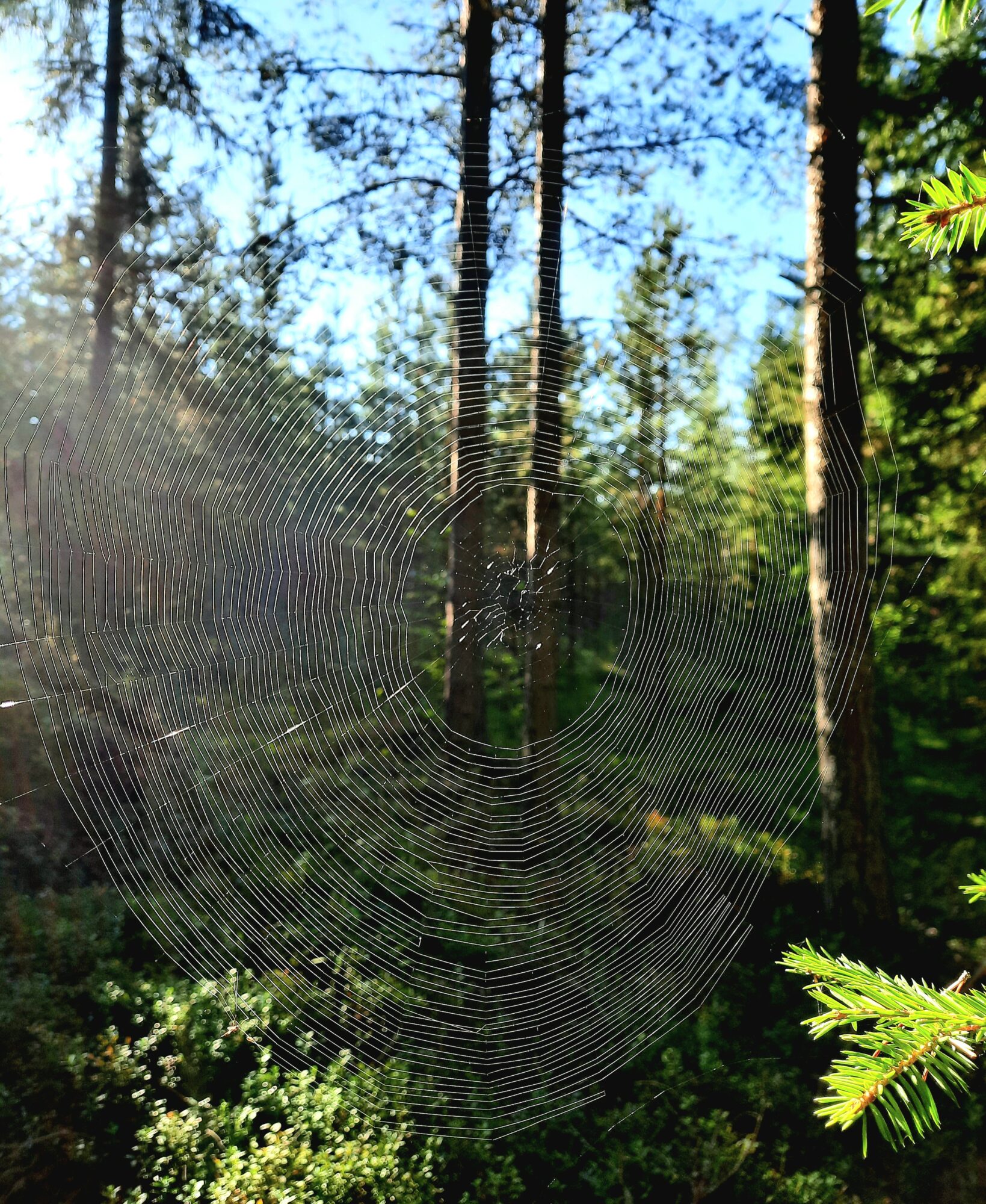 Valokuvaaja: Anne Keskivinkka Valokuvaaja: Anne Keskivinkka