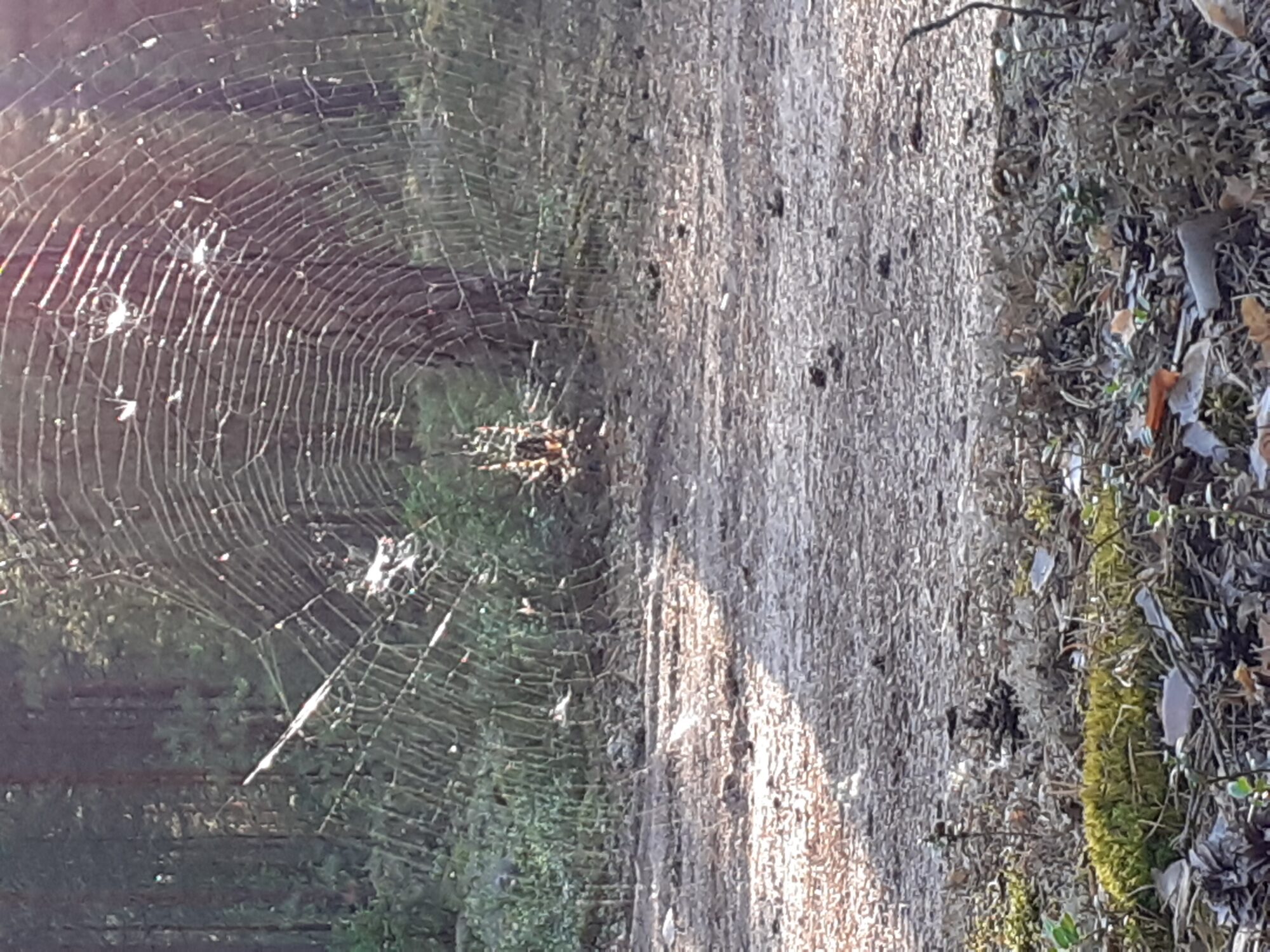 Valokuvaaja: Maarit Pietiläinen