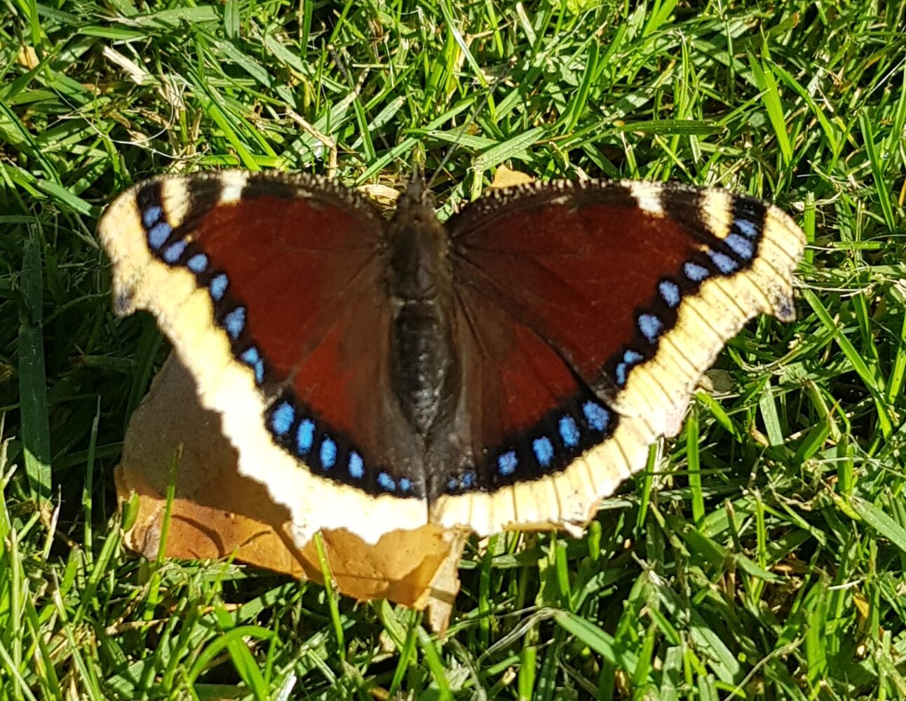 Valokuvaaja: Harry Yli-Uotila