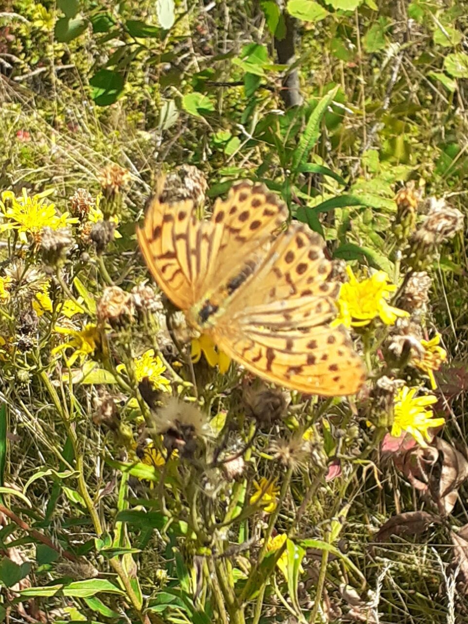 Valokuvaaja: Maarit Pietiläinen
