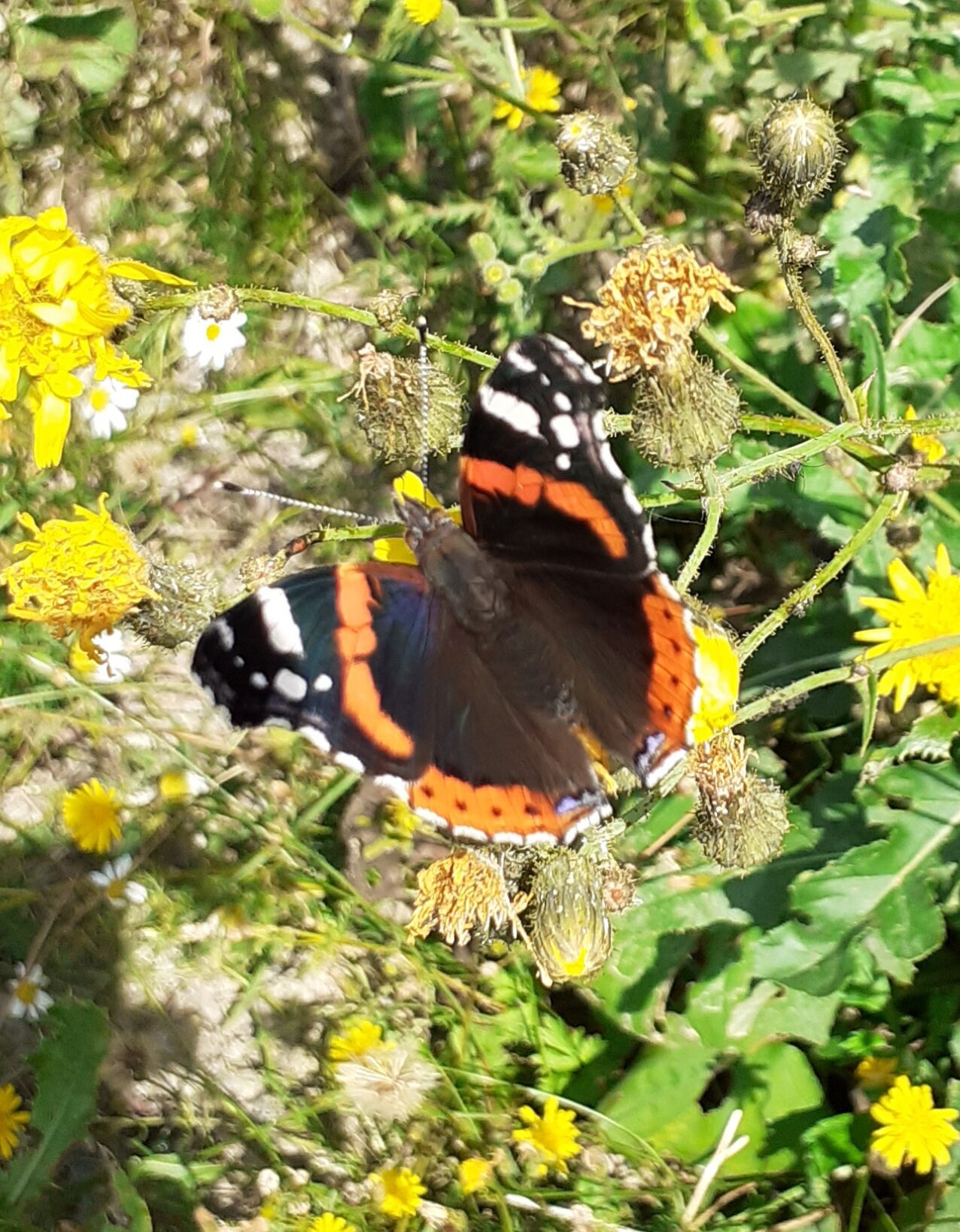 Valokuvaaja: Maarit Pietiläinen