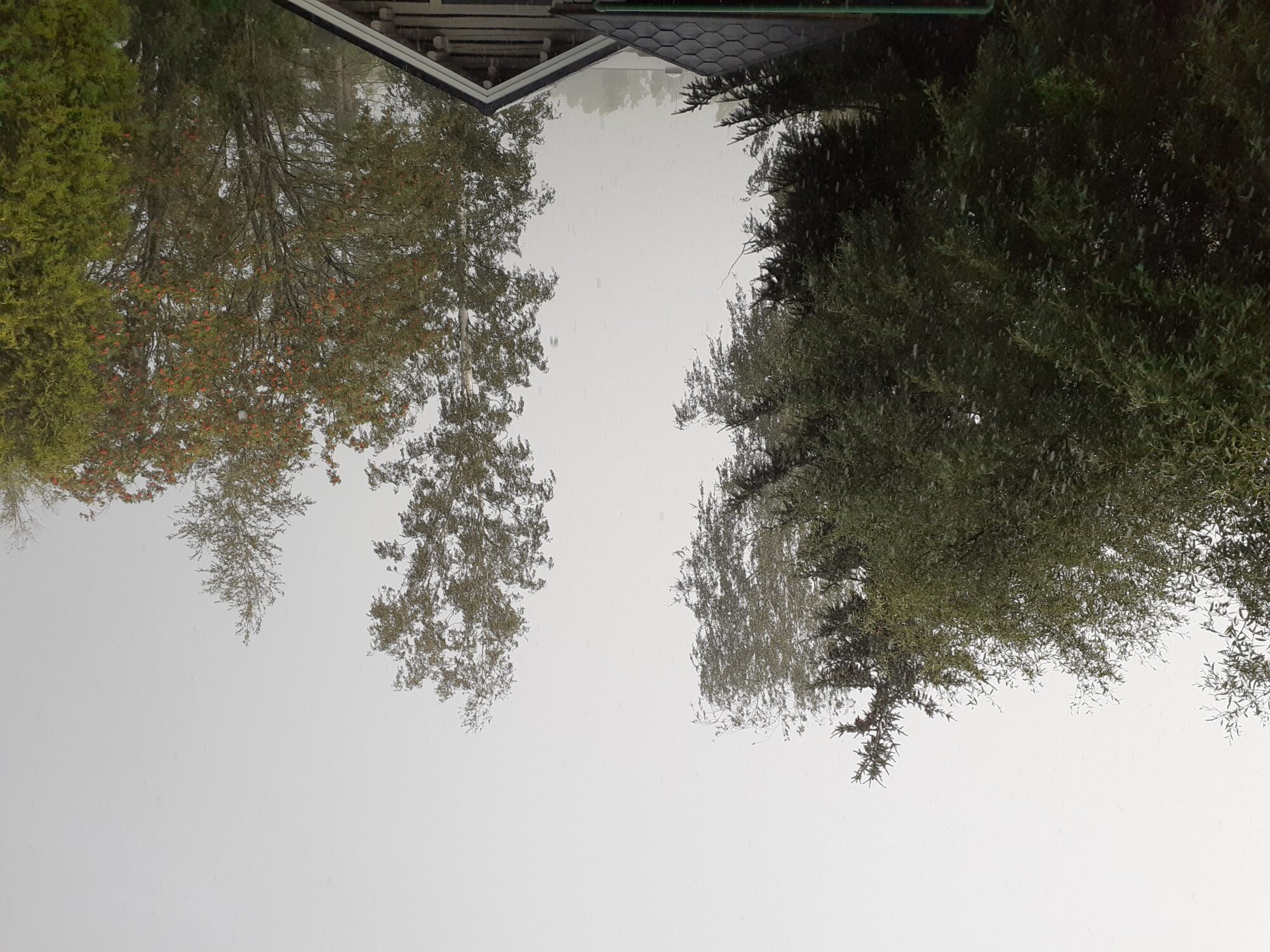 Valokuvaaja: Maarit Pietiläinen