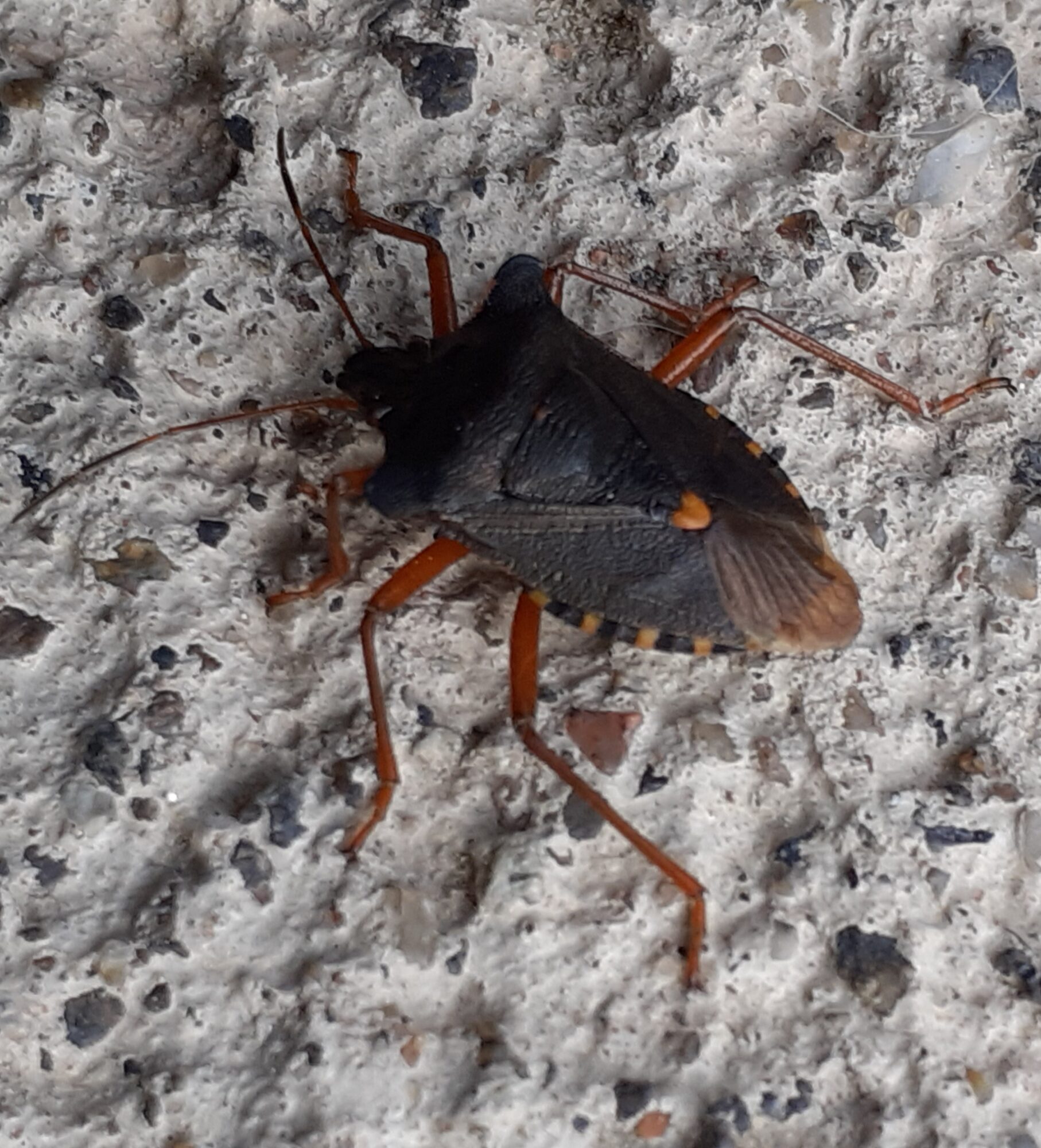 Valokuvaaja: Maarit Pietiläinen