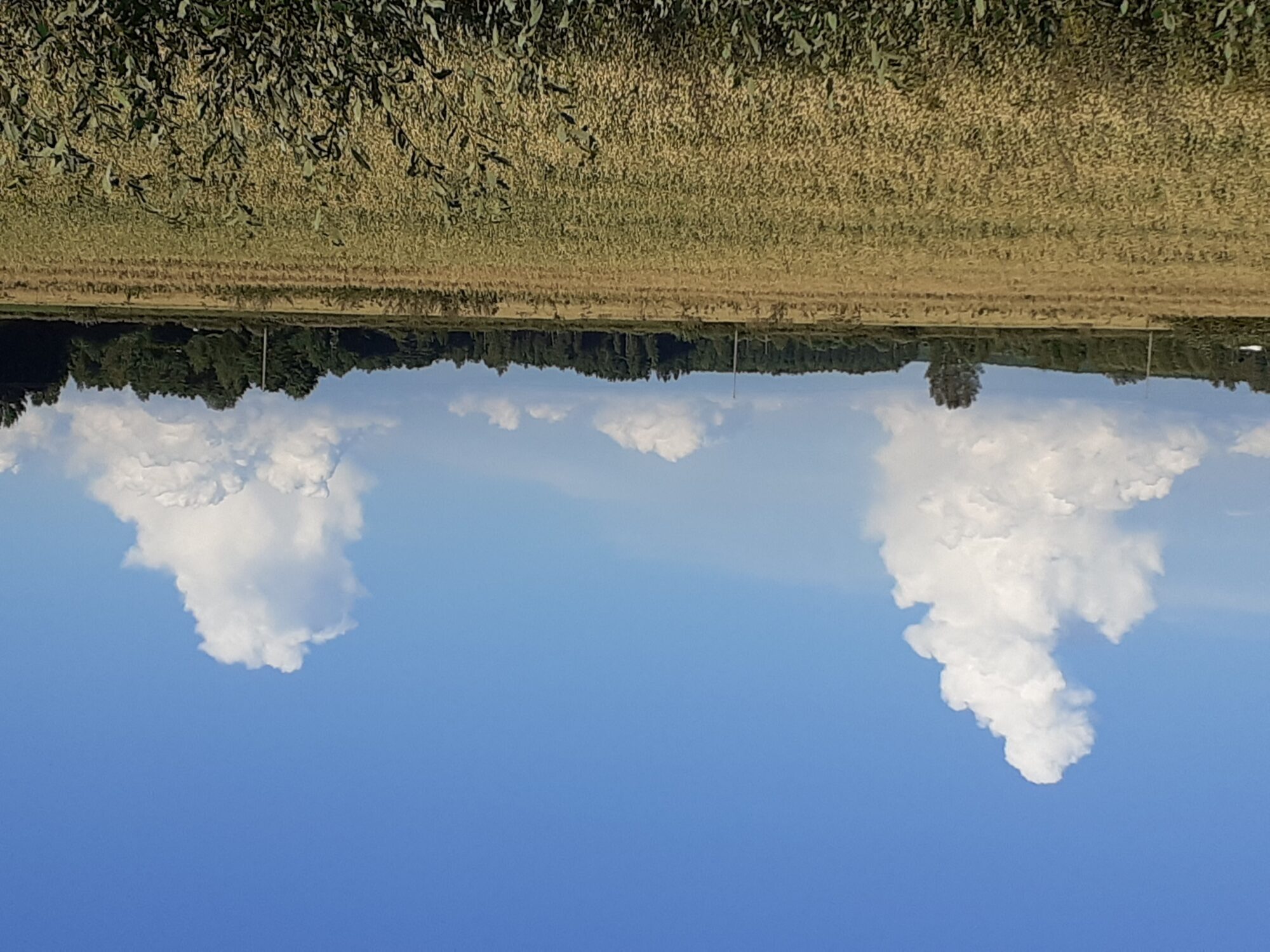 Valokuvaaja: Maarit Pietiläinen