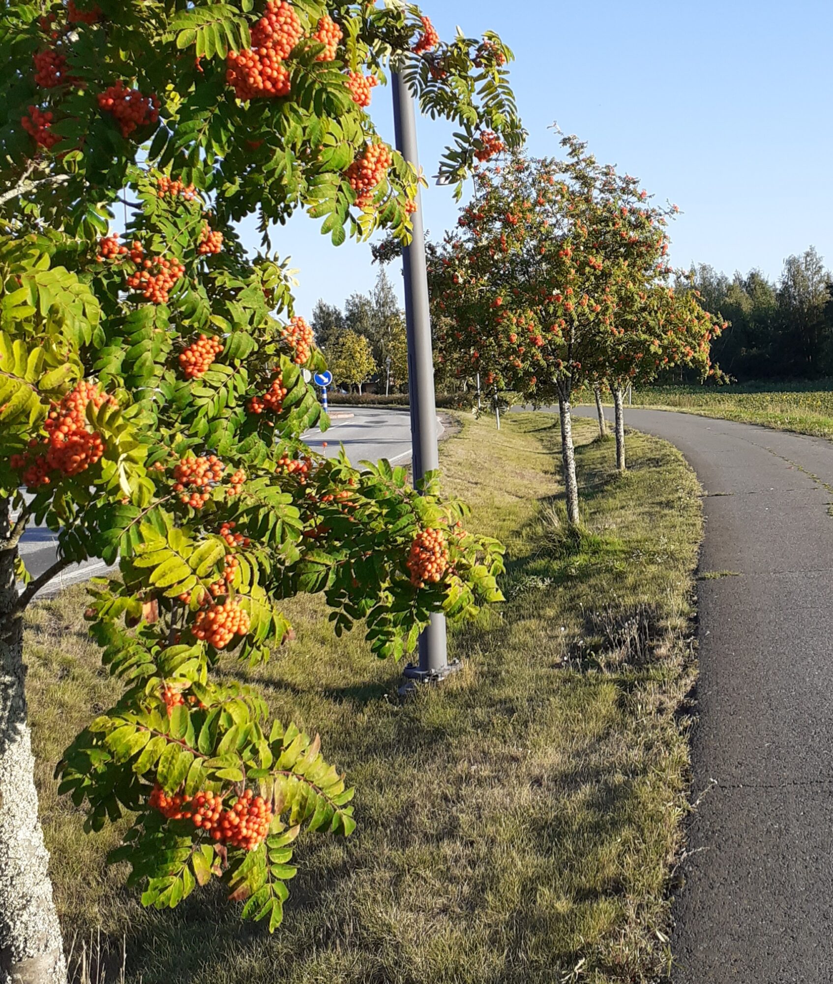 Valokuvaaja: Maarit Pietiläinen
