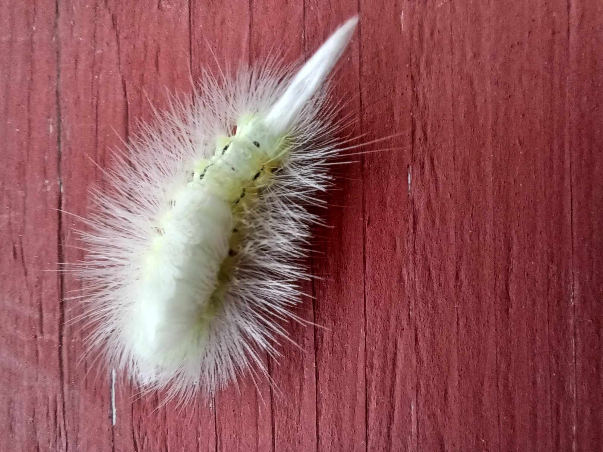 Valokuvaaja: Tuomo Rimpiläinen