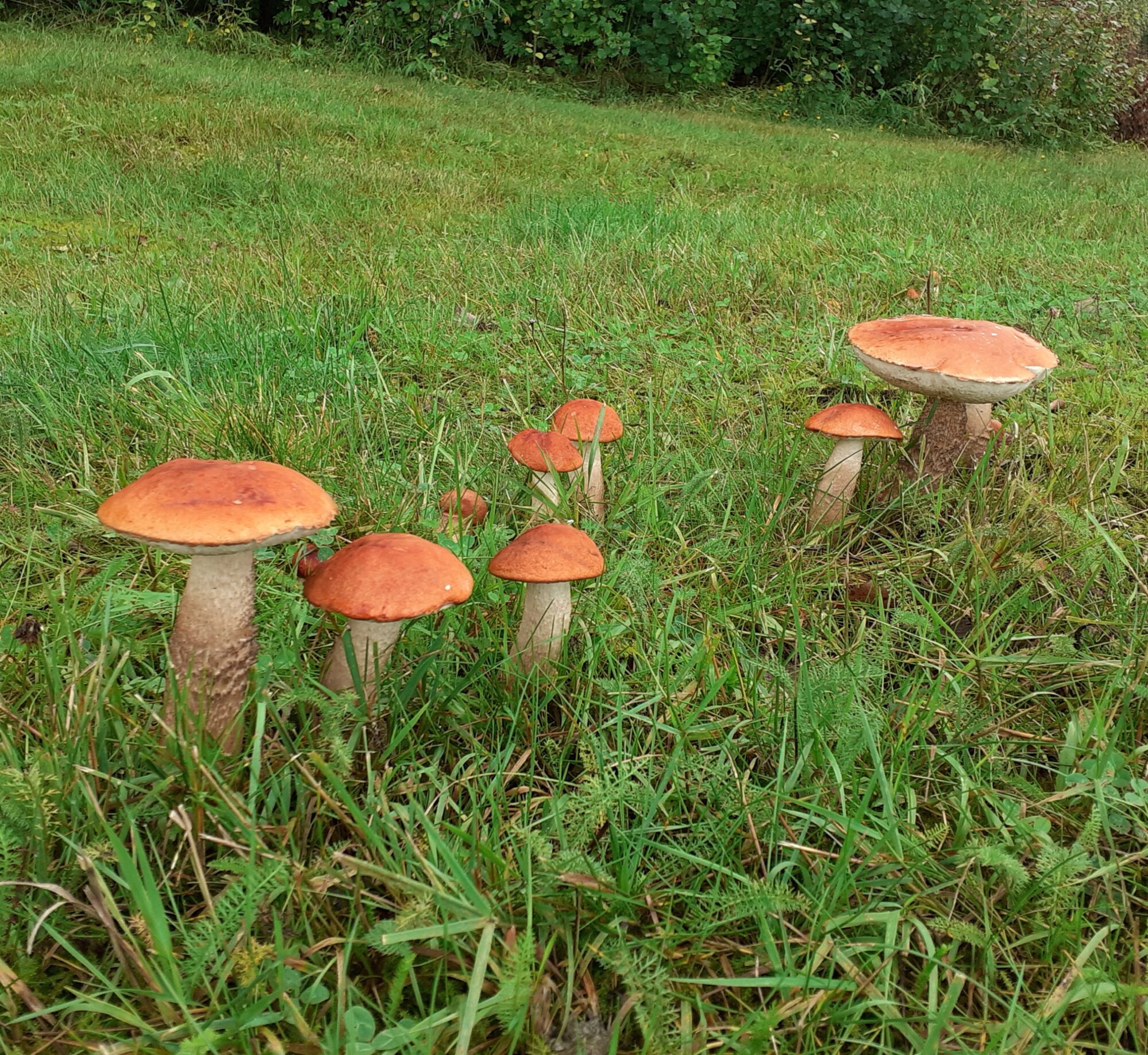 Valokuvaaja: Maarit Pietiläinen