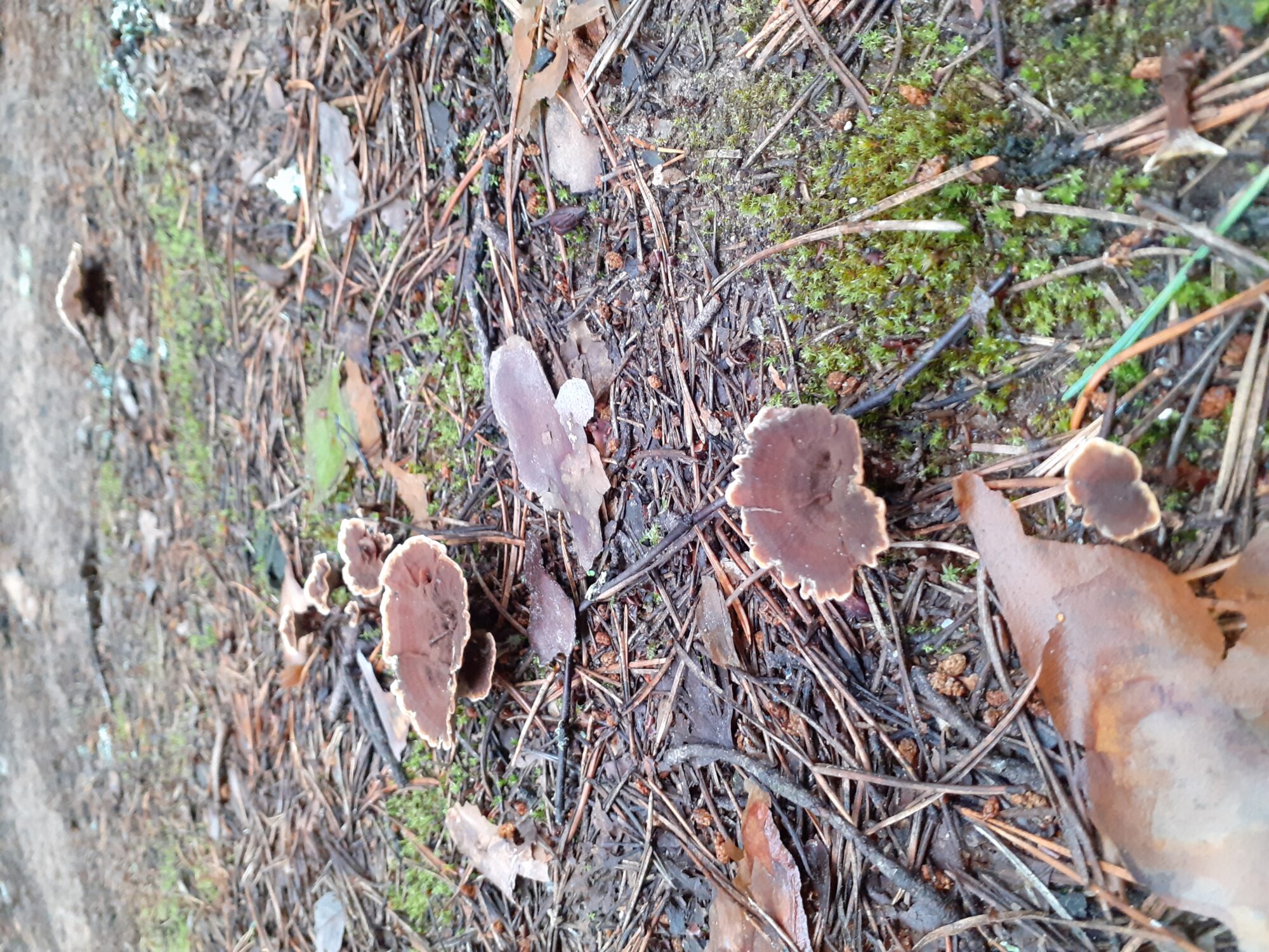 Valokuvaaja: Maarit Pietiläinen Valokuvaaja: Maarit Pietiläinen