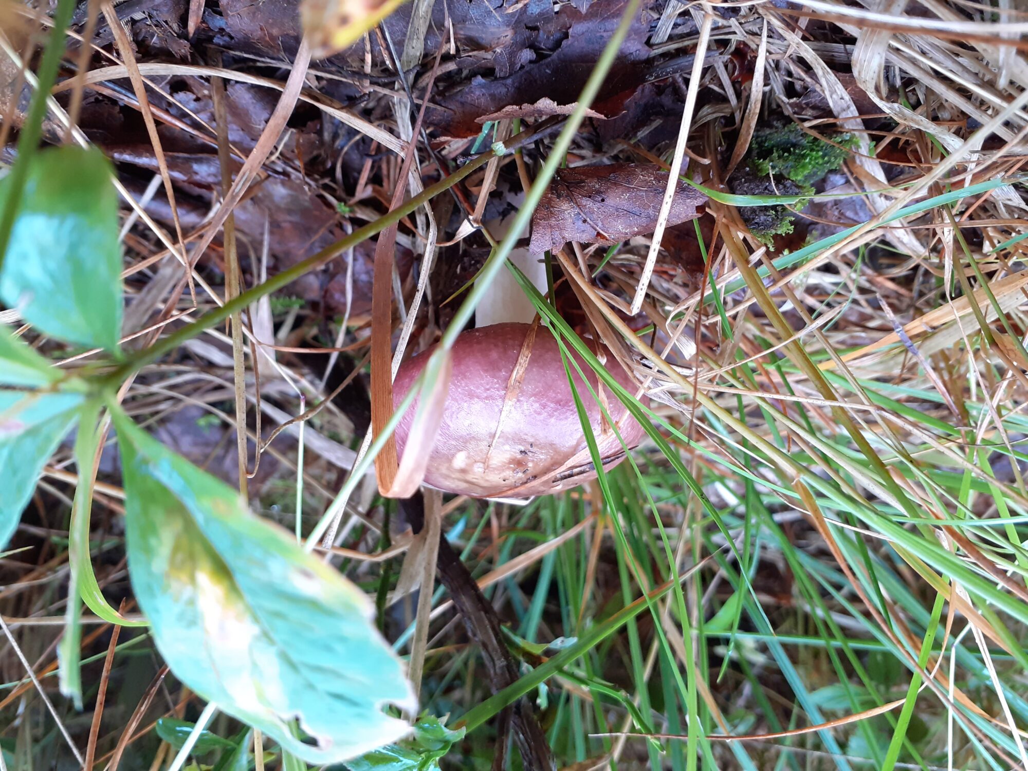 Valokuvaaja: Maarit Pietiläinen Valokuvaaja: Maarit Pietiläinen