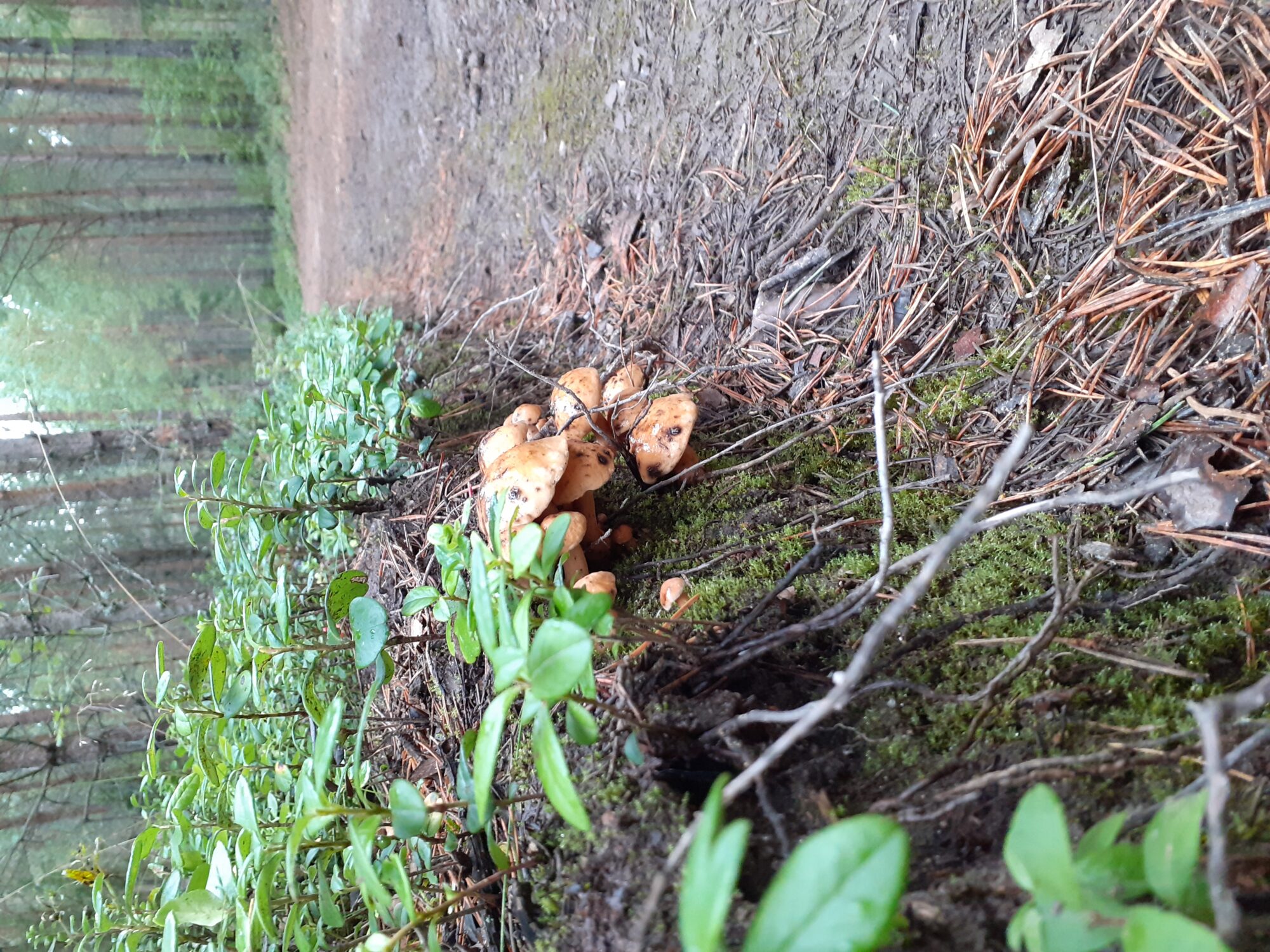 Valokuvaaja: Maarit Pietiläinen Valokuvaaja: Maarit Pietiläinen