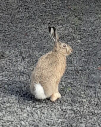 Valokuvaaja: Maarit Pietiläinen