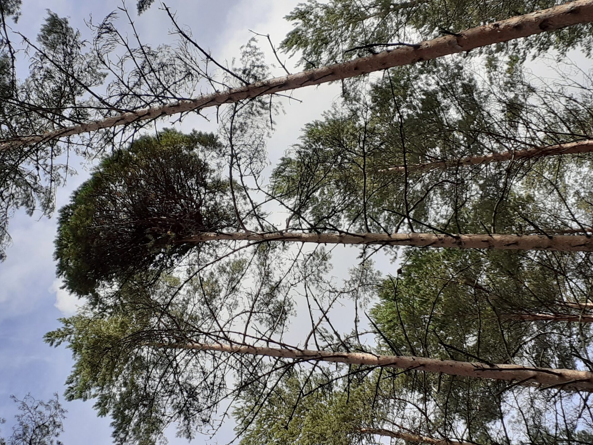 Valokuvaaja: Maarit Pietiläinen