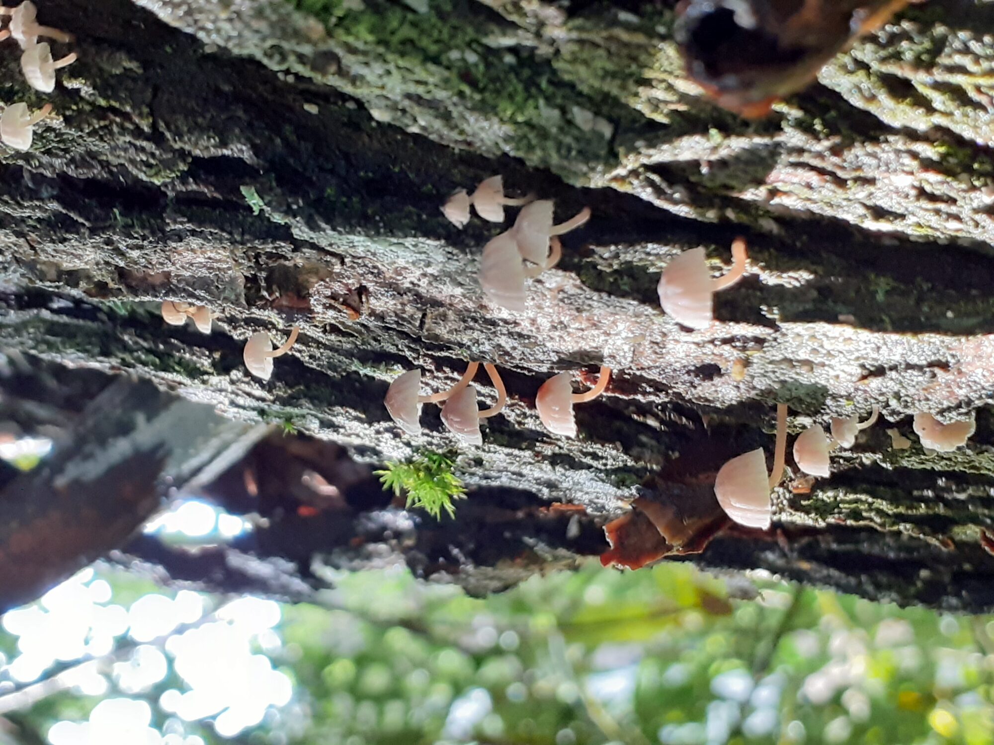 Valokuvaaja: Maarit Pietiläinen