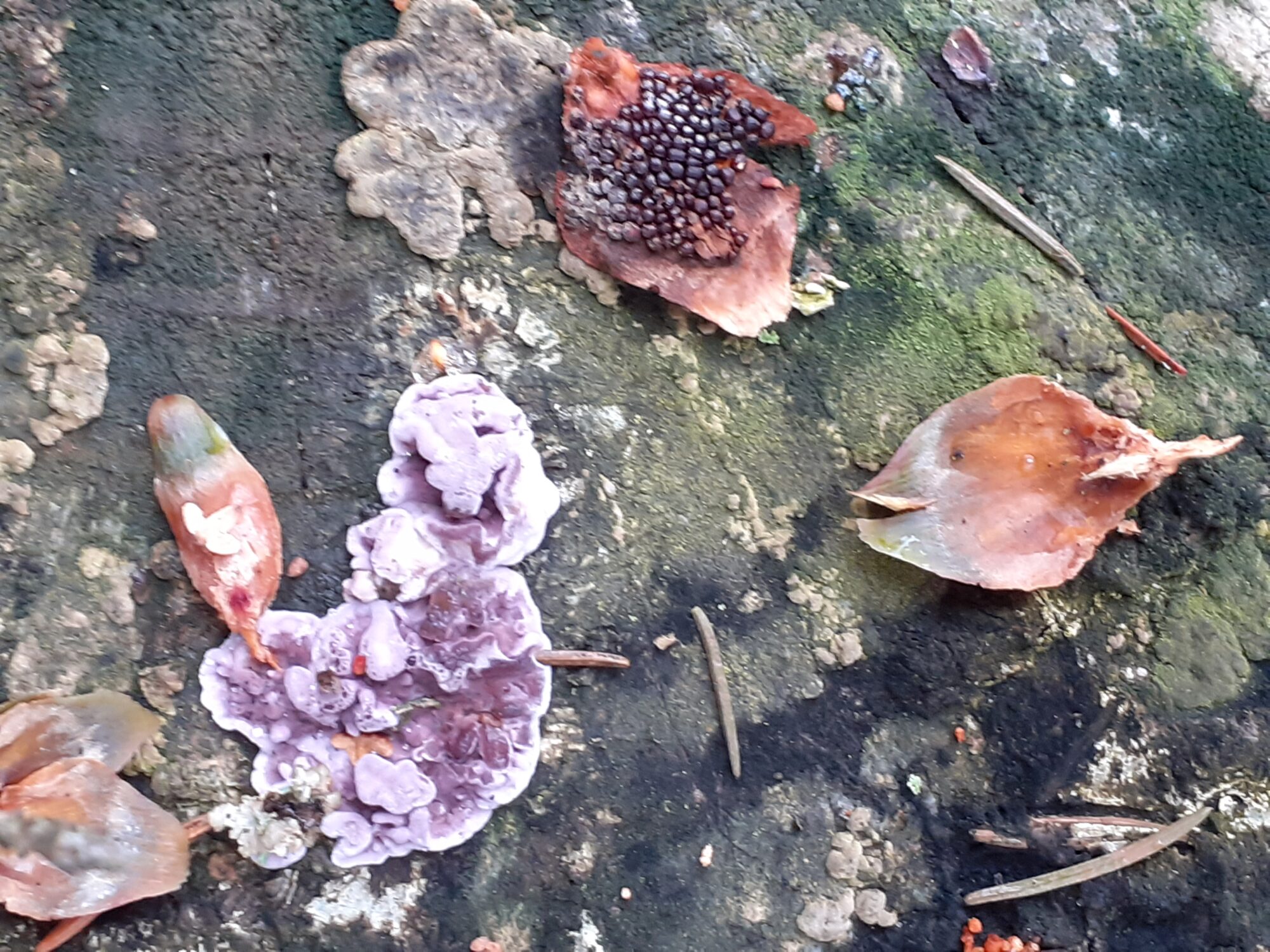 Valokuvaaja: Maarit Pietiläinen