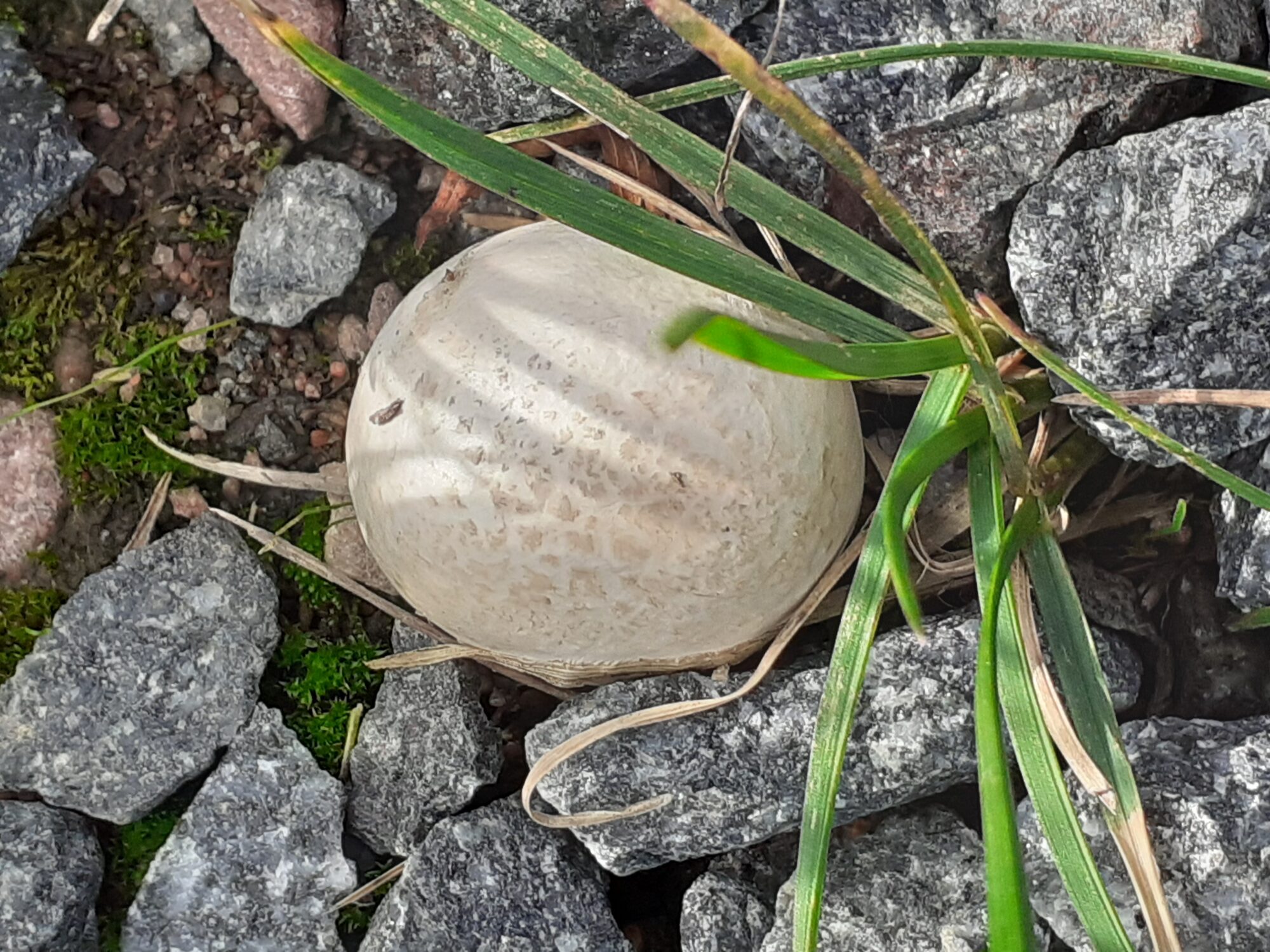 Valokuvaaja: Maarit Pietiläinen