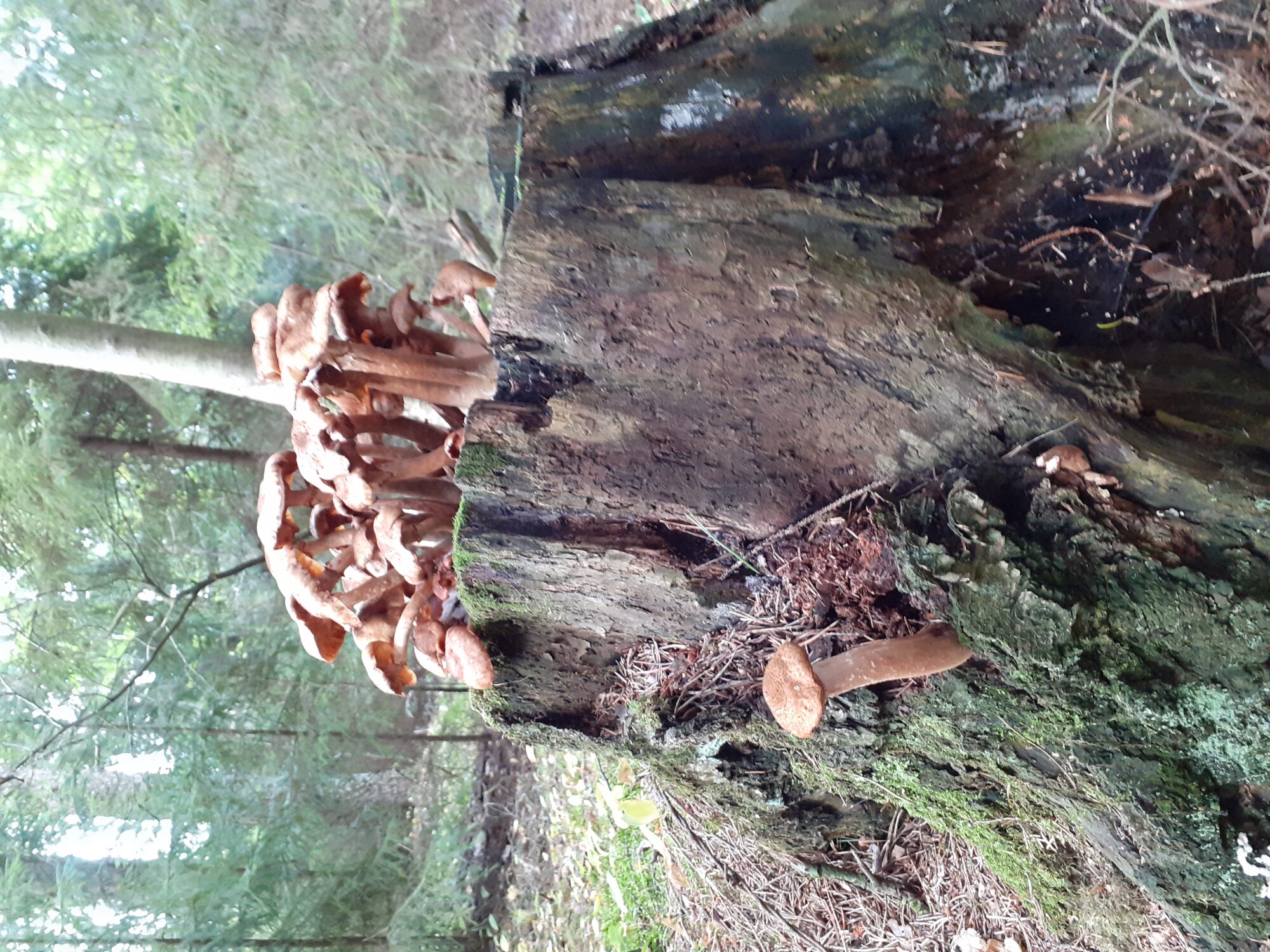 Valokuvaaja: Maarit Pietiläinen Valokuvaaja: Maarit Pietiläinen