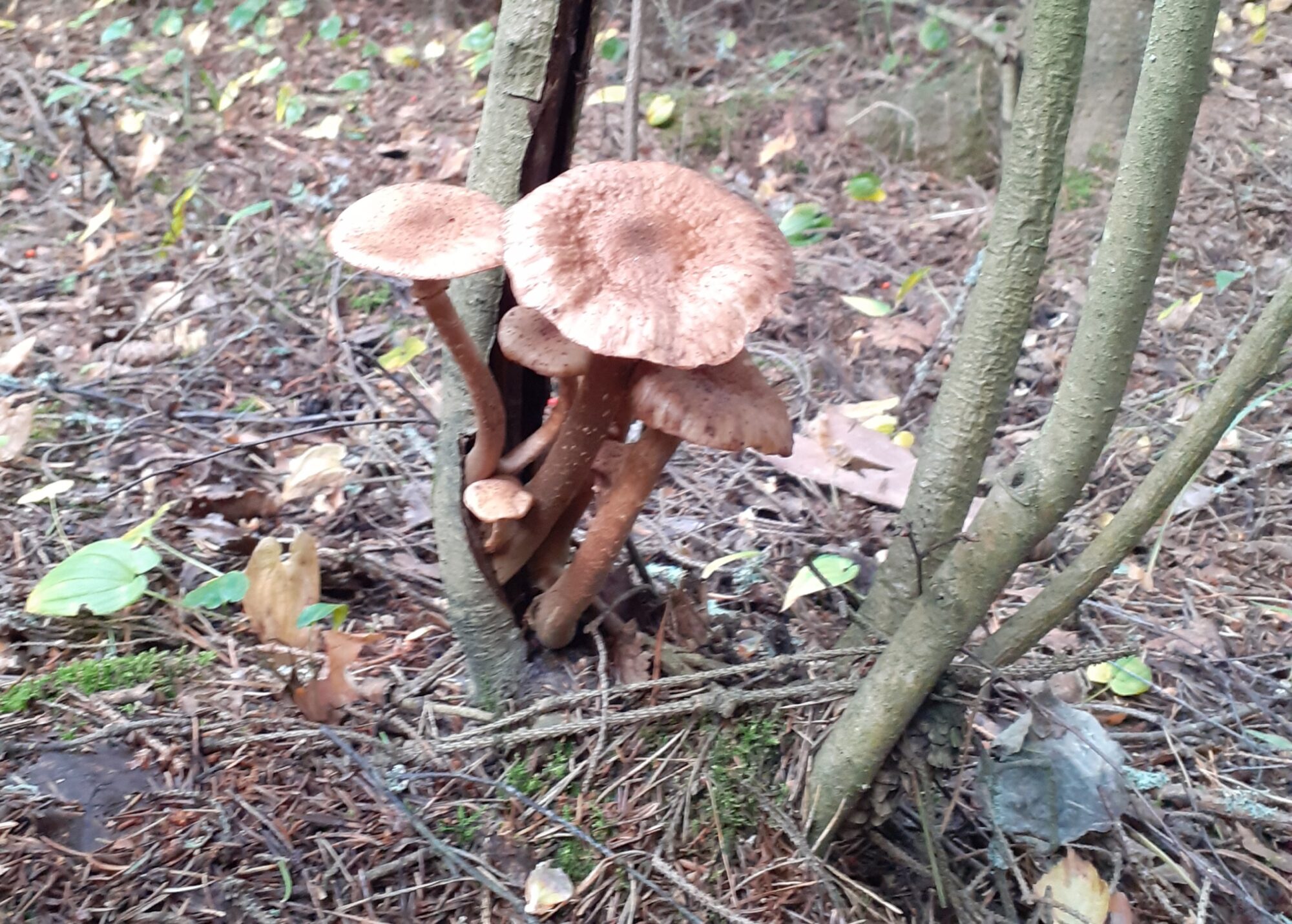 Valokuvaaja: Maarit Pietiläinen