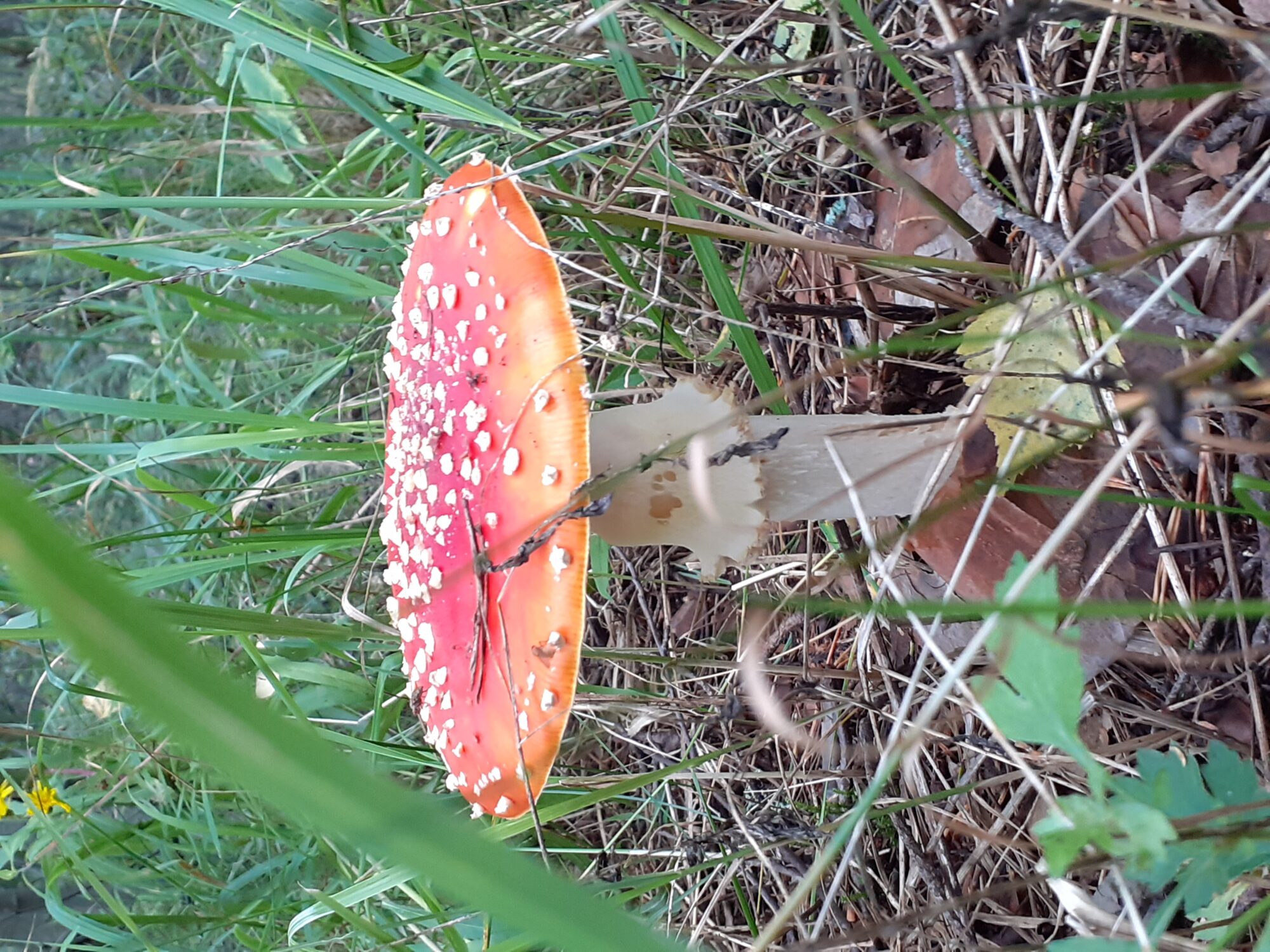 Valokuvaaja: Maarit Pietiläinen