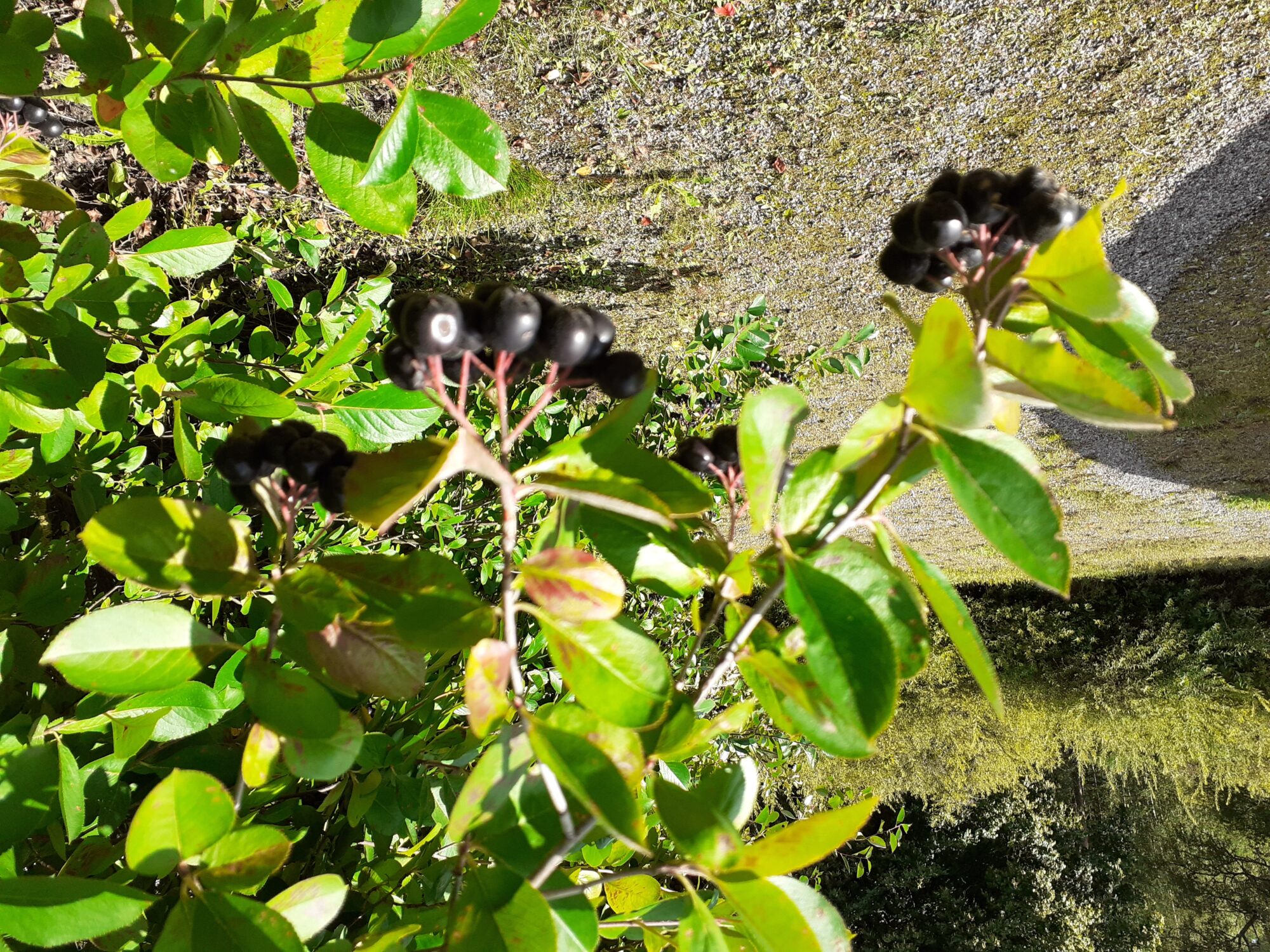 Valokuvaaja: Maarit Pietiläinen