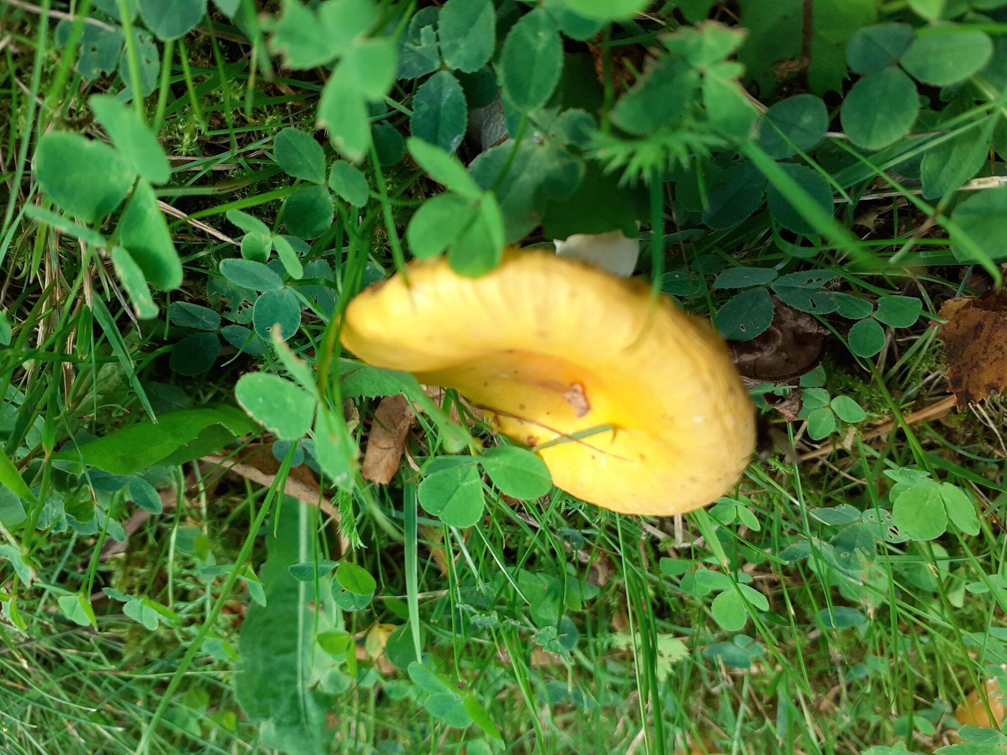 Valokuvaaja: Maarit Pietiläinen