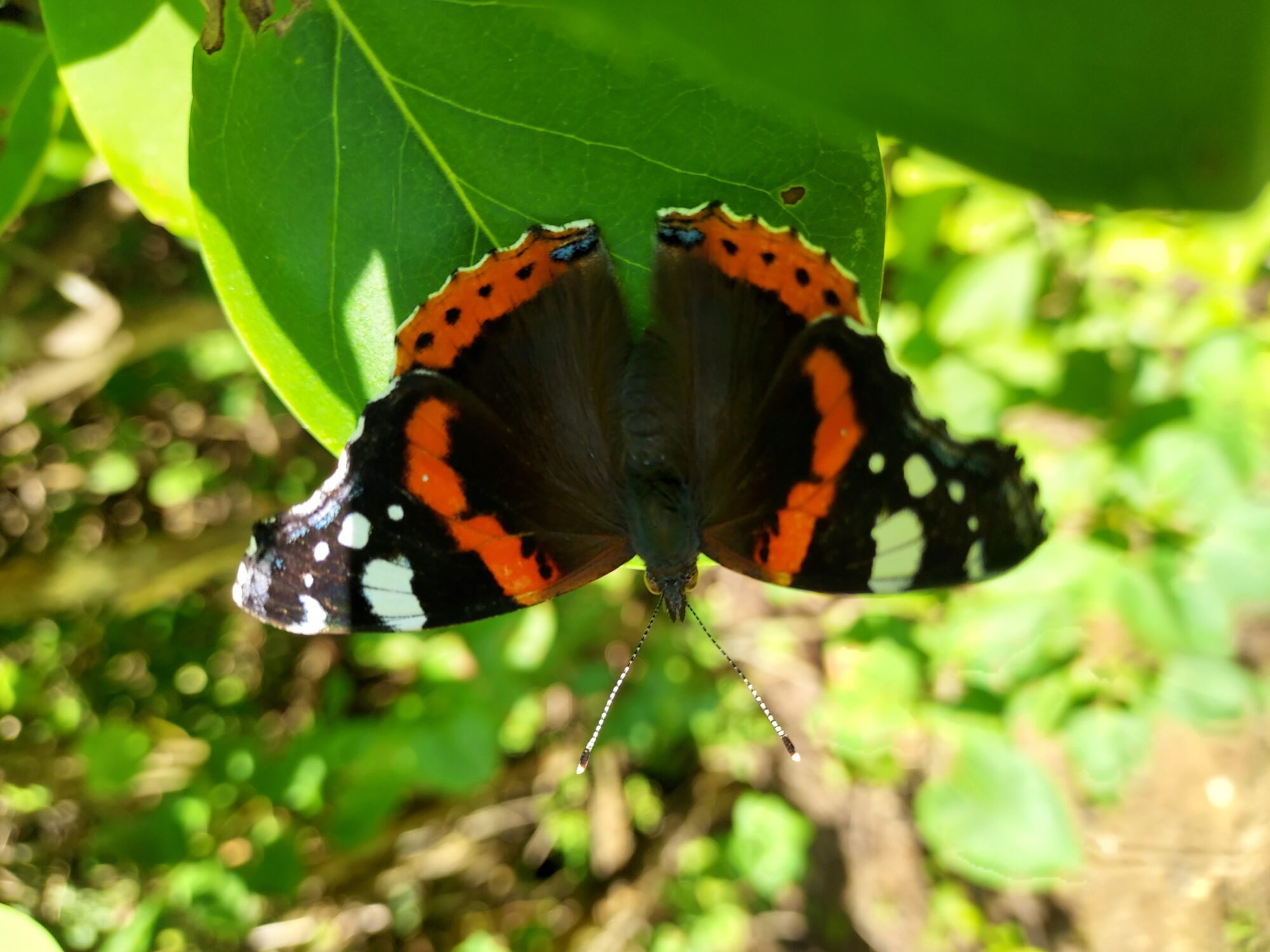 Valokuvaaja: Eija Johanna Saastamoinen