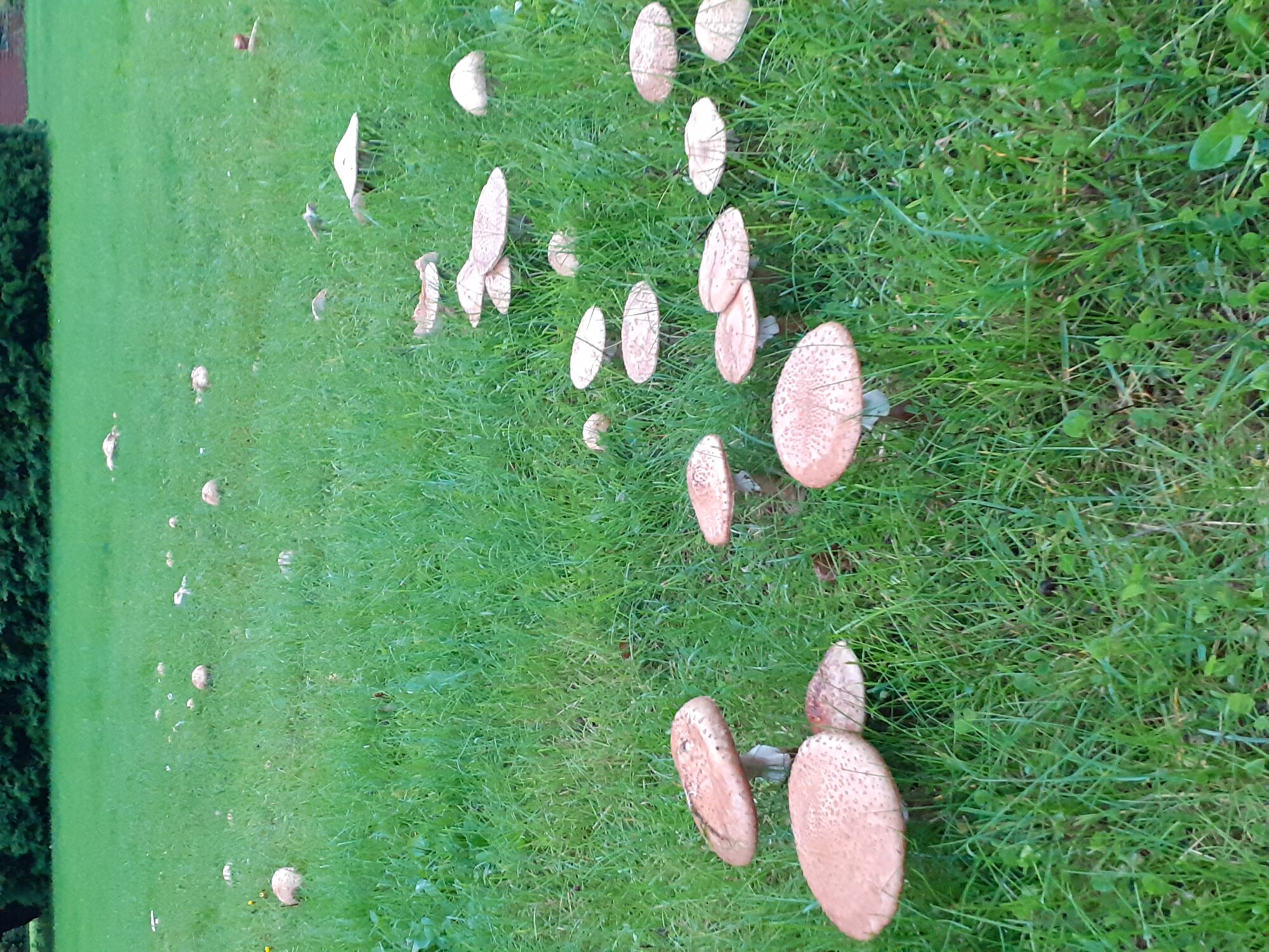 Valokuvaaja: Maarit Pietiläinen