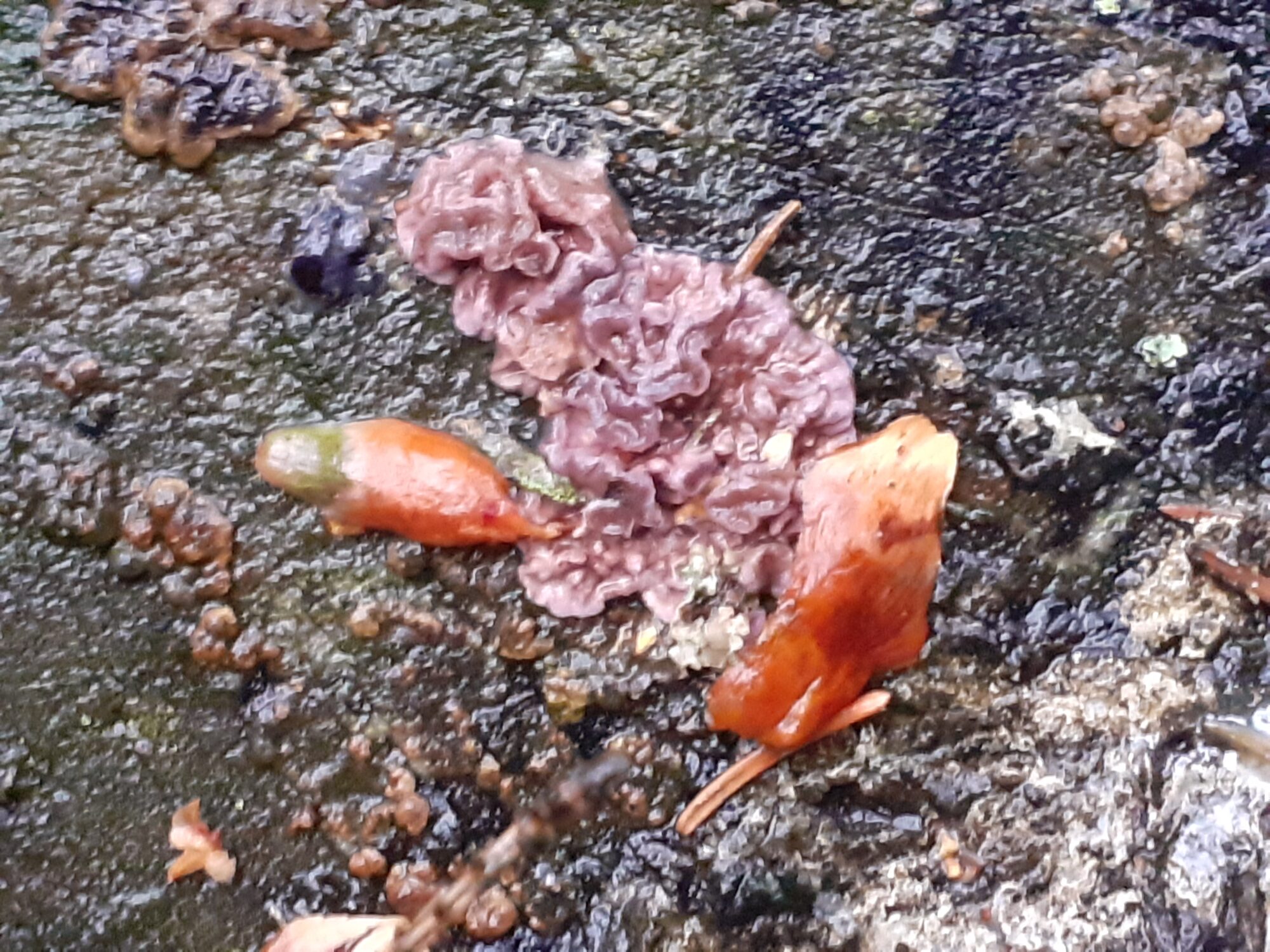 Valokuvaaja: Maarit Pietiläinen