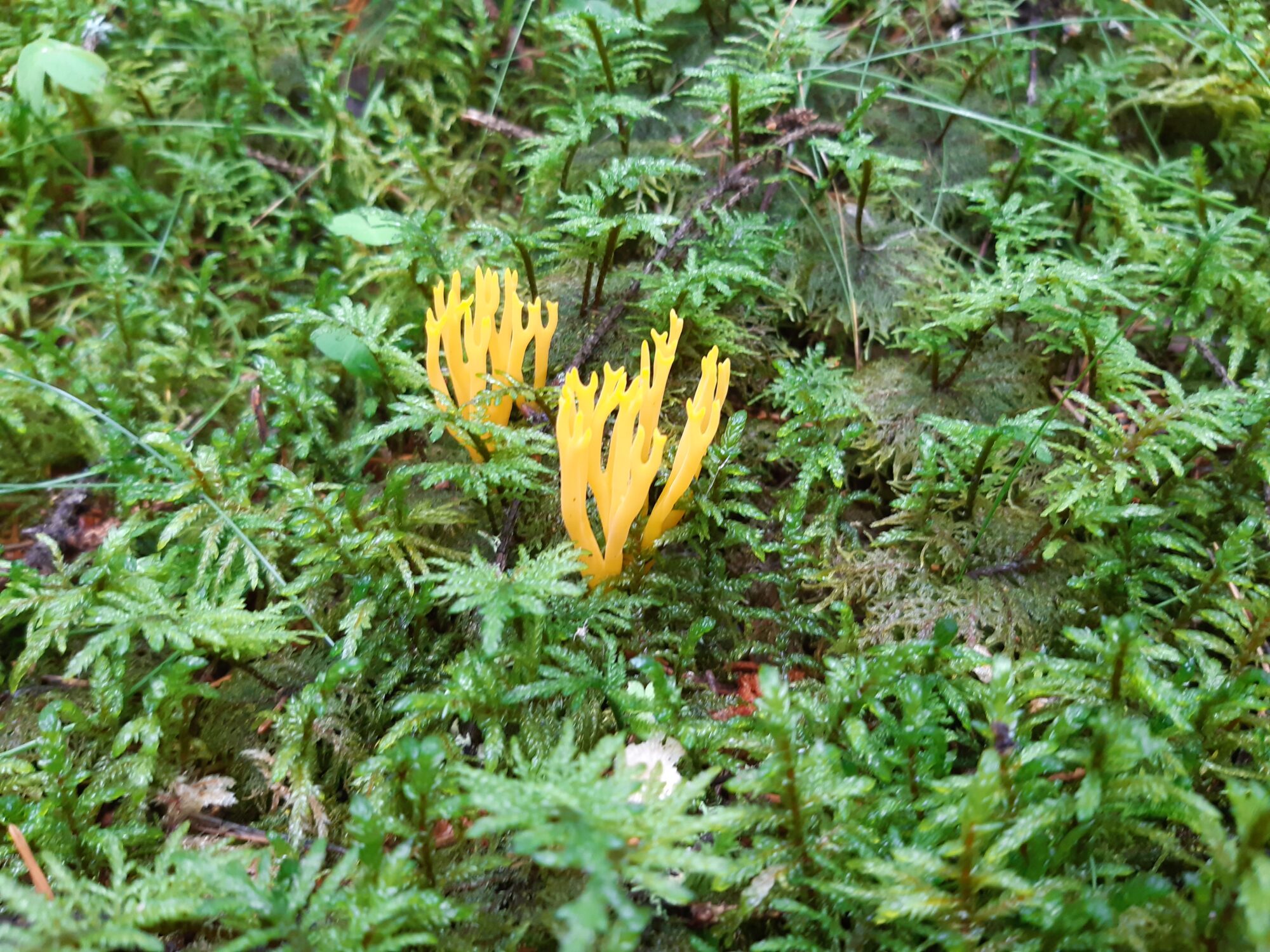 Valokuvaaja: Elina Vuorimaa-Laukkanen