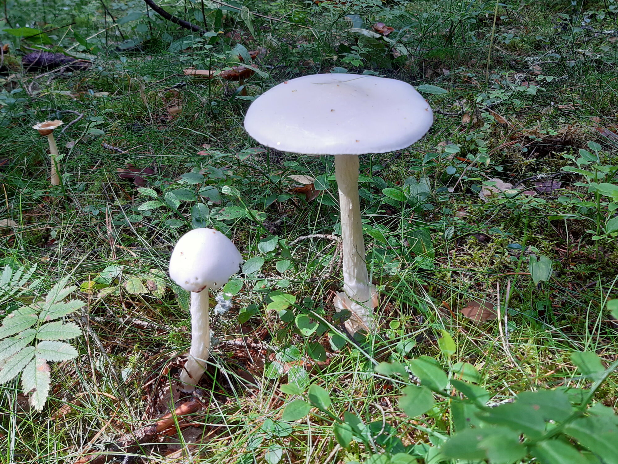 Valokuvaaja: Elina Vuorimaa-Laukkanen